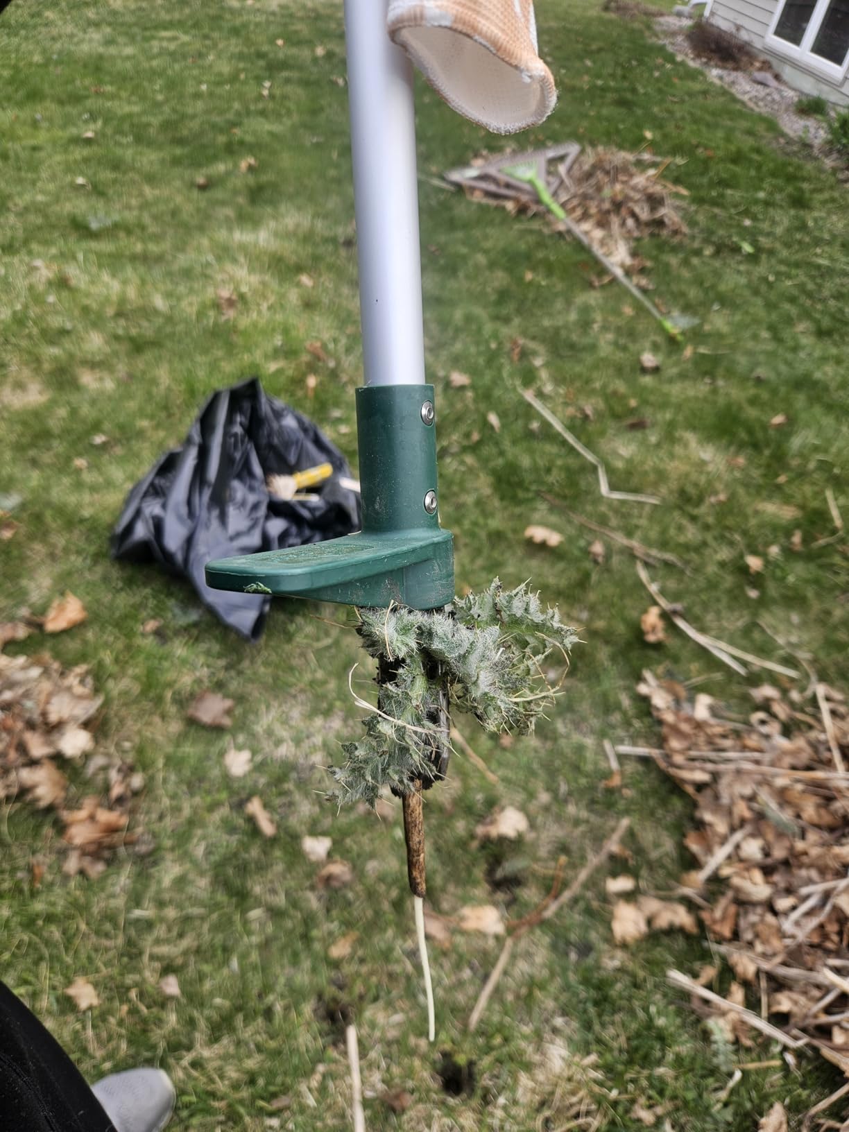 Walensee Weed Puller, Stand Up Weeder Hand Tool, Long Handle Garden Weeding Tool with 3 Claws, Hand Weed Hound Weed Puller for Dandelion, Standup Weed Root Pulling Tool and Picker, Grabber (1 Pack) customer photo 2