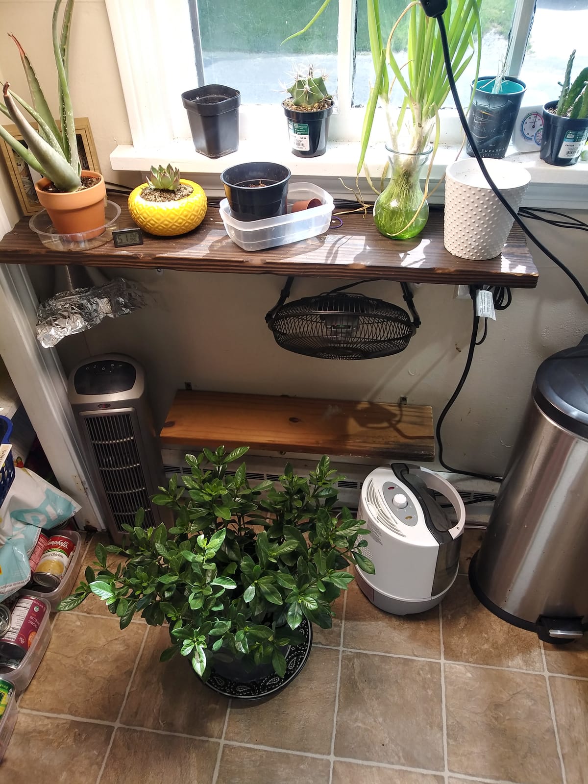 Inkbird Temperature and Humidity Controller ITC-608T Pre-Wired Dual Stage Thermostat 120VAC 15A 1800W ETL Listed Mushroom Greenhouse Homebrew customer photo 1