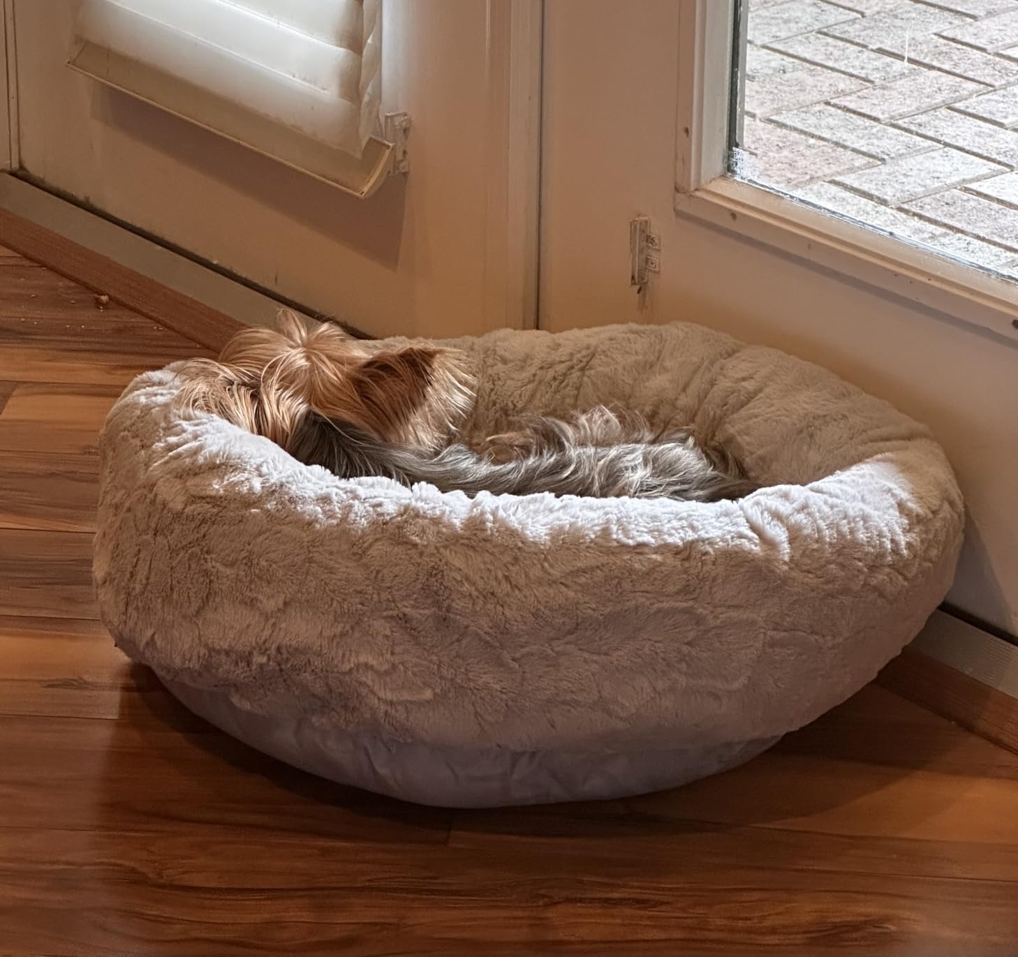 Best Friends by Sheri Original Calming Donut Dog Bed, Oyster, Small, 23