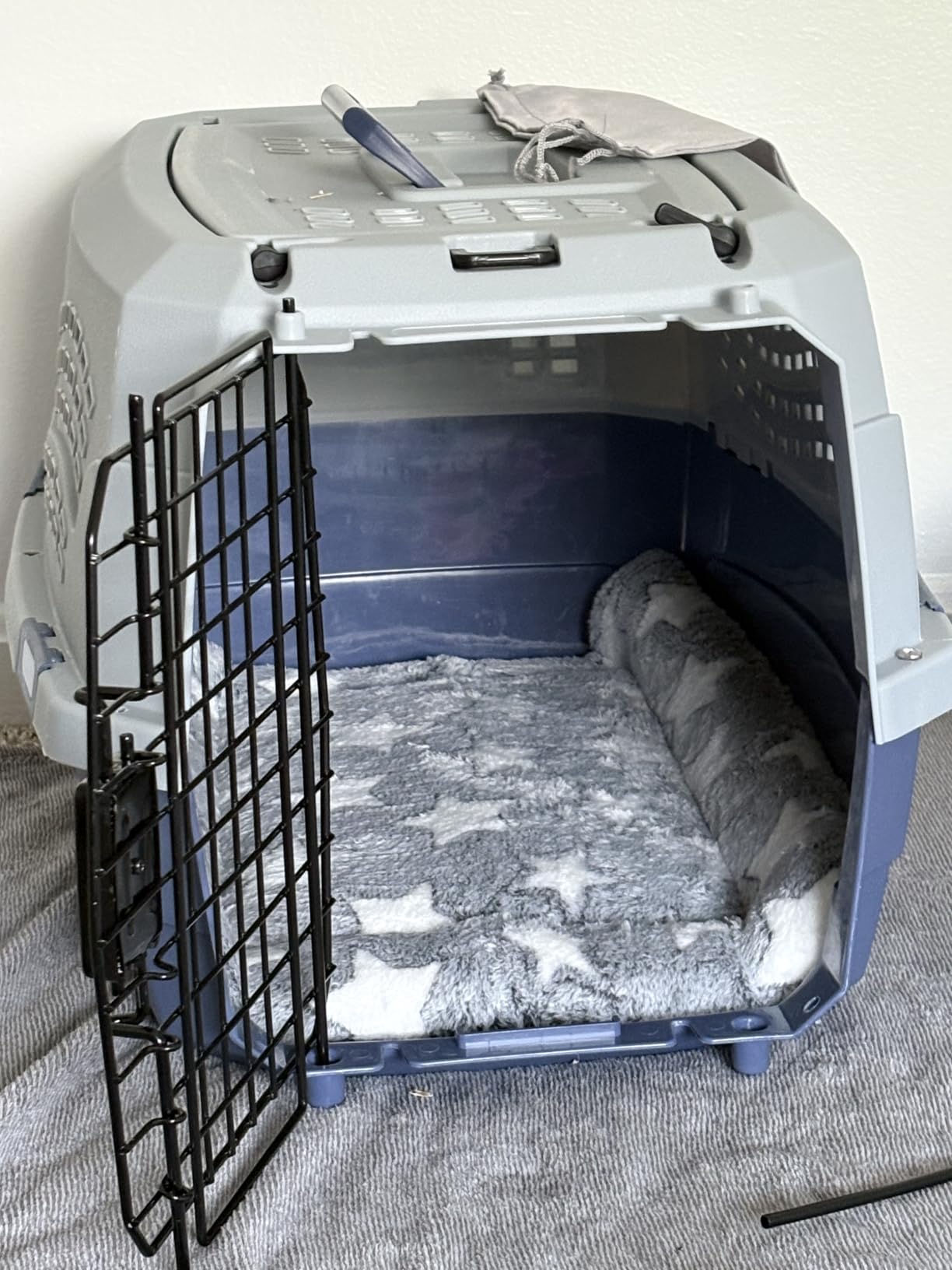 Amazon Basics Hard-Sided Dog and Cat Kennel, Single-Door Travel Pet Carrier with Metal Wire Ventilation, 23.6