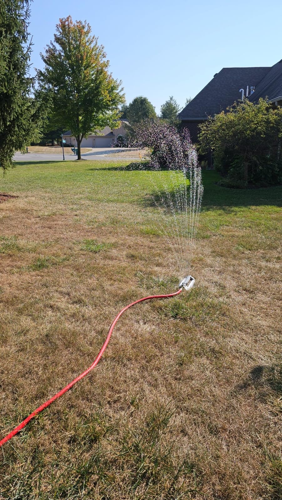 Rocky Mountain Goods Metal Oscillating Lawn Sprinkler - Rust-Proof Aluminum Base - 4,100 Sq. Ft. Coverage - Easy Adjust Range Control - Built-in Spray Jet Cleaning Needle customer photo 2
