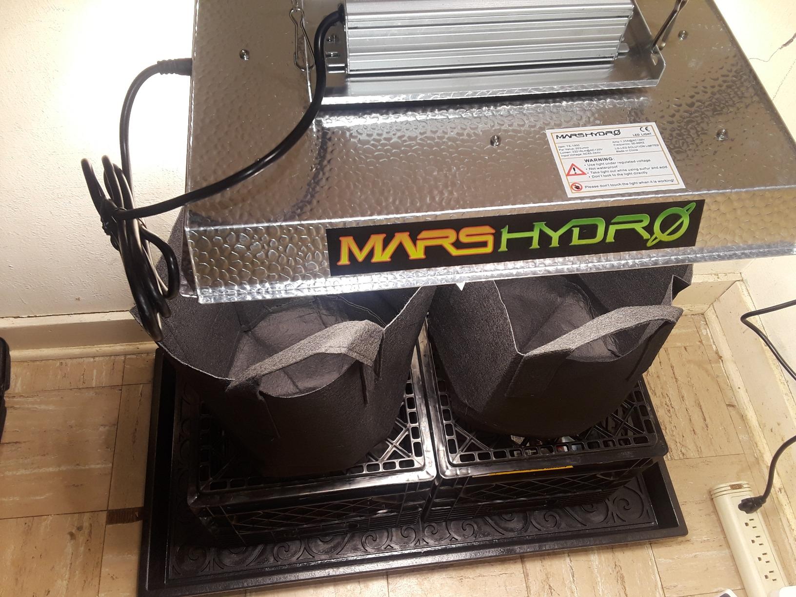 MARS HYDRO 300W TSL2000 Led Grow Lights for Indoor Plants customer photo 1