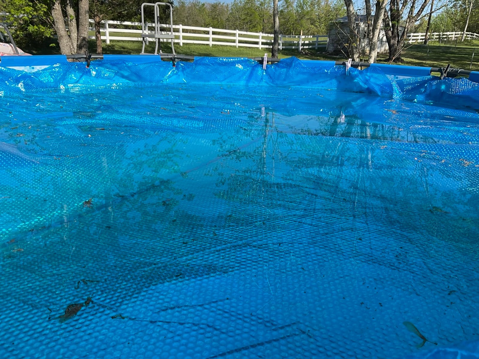 Sun2Solar Blue 14 ft Round Solar Cover | 8 Mil | Heat Retaining customer photo 1