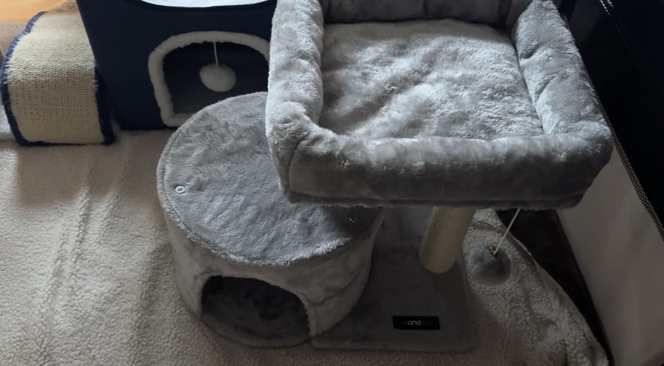 Feandrea Cat Tree, 18.5-in Small Cat Tower, Cute Kittens Condo, Smoky Gray customer photo 1