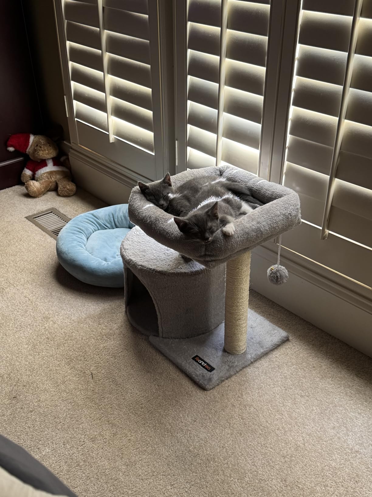 Feandrea Cat Tree, 18.5-in Small Cat Tower, Cute Kittens Condo, Smoky Gray customer photo 2