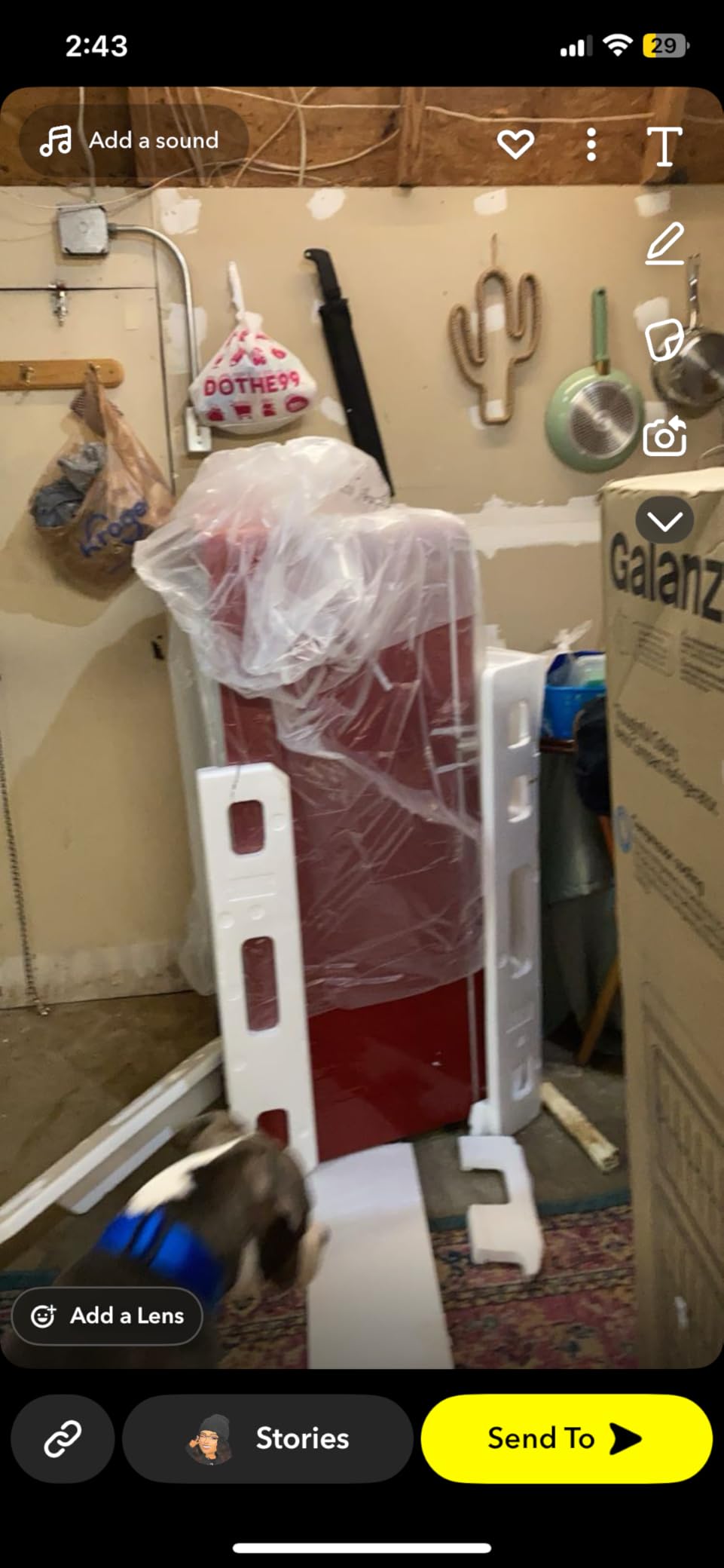 Galanz GLR46TRDER Retro Compact Refrigerator with Freezer Mini Fridge with Dual Door, Adjustable Mechanical Thermostat, 4.6 Cu Ft, Red customer photo 1