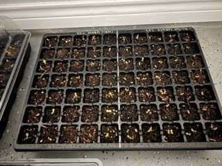 Gardzen 5-Set Seed Starter Tray Kits, Durable Plant Germination Trays with Humidity Vented Domes and Bases, Ideal for Seed Starting, Indoor Gardening, and Greenhouse (Total 200 Cells) customer photo 2