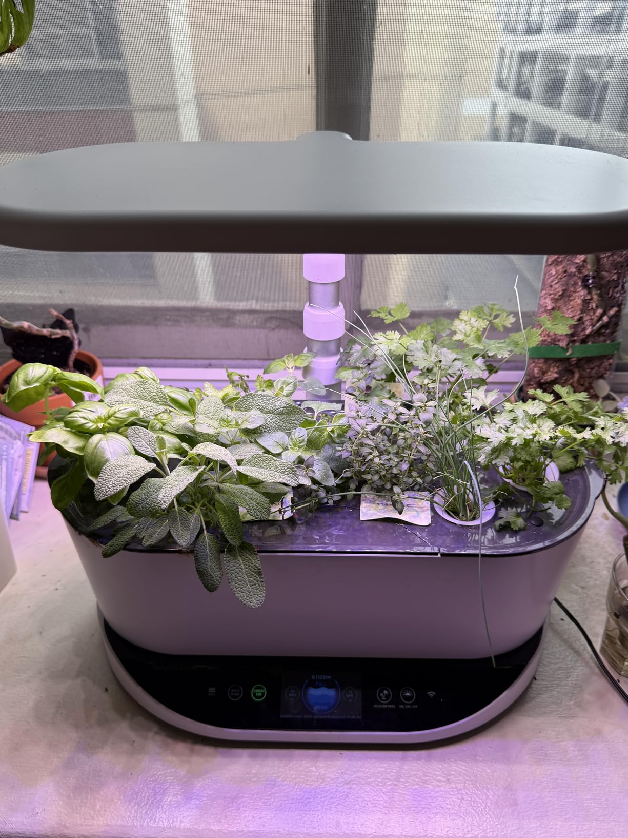 AeroGarden Bounty, Black customer photo 2