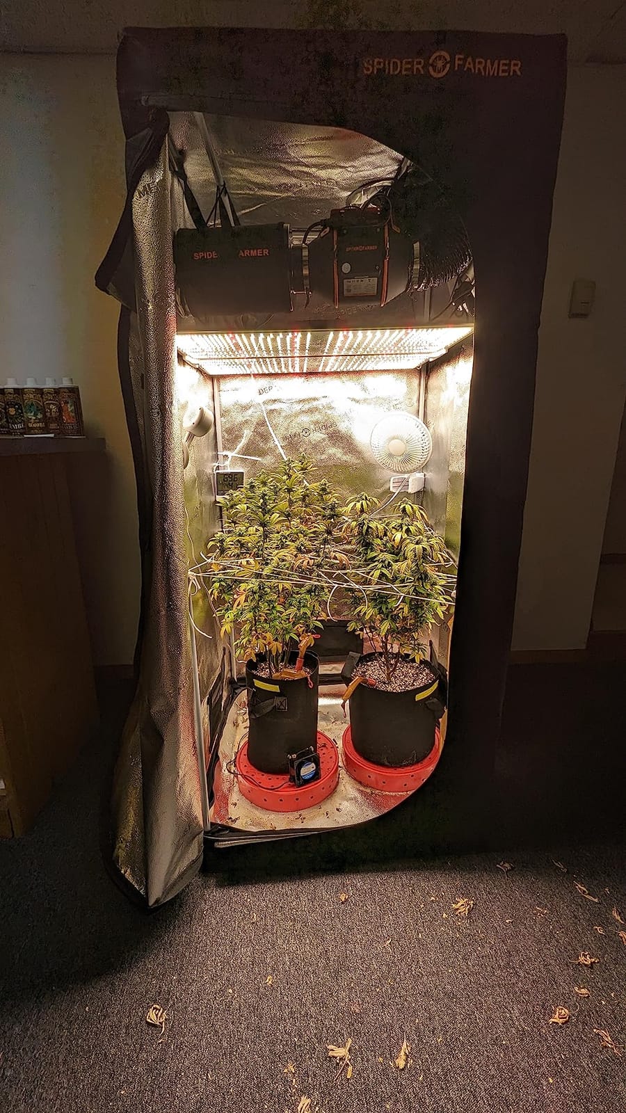 Spider Farmer SF4000 LED Grow Lights for Indoor Plants in 4x4 Grow Tent customer photo 1