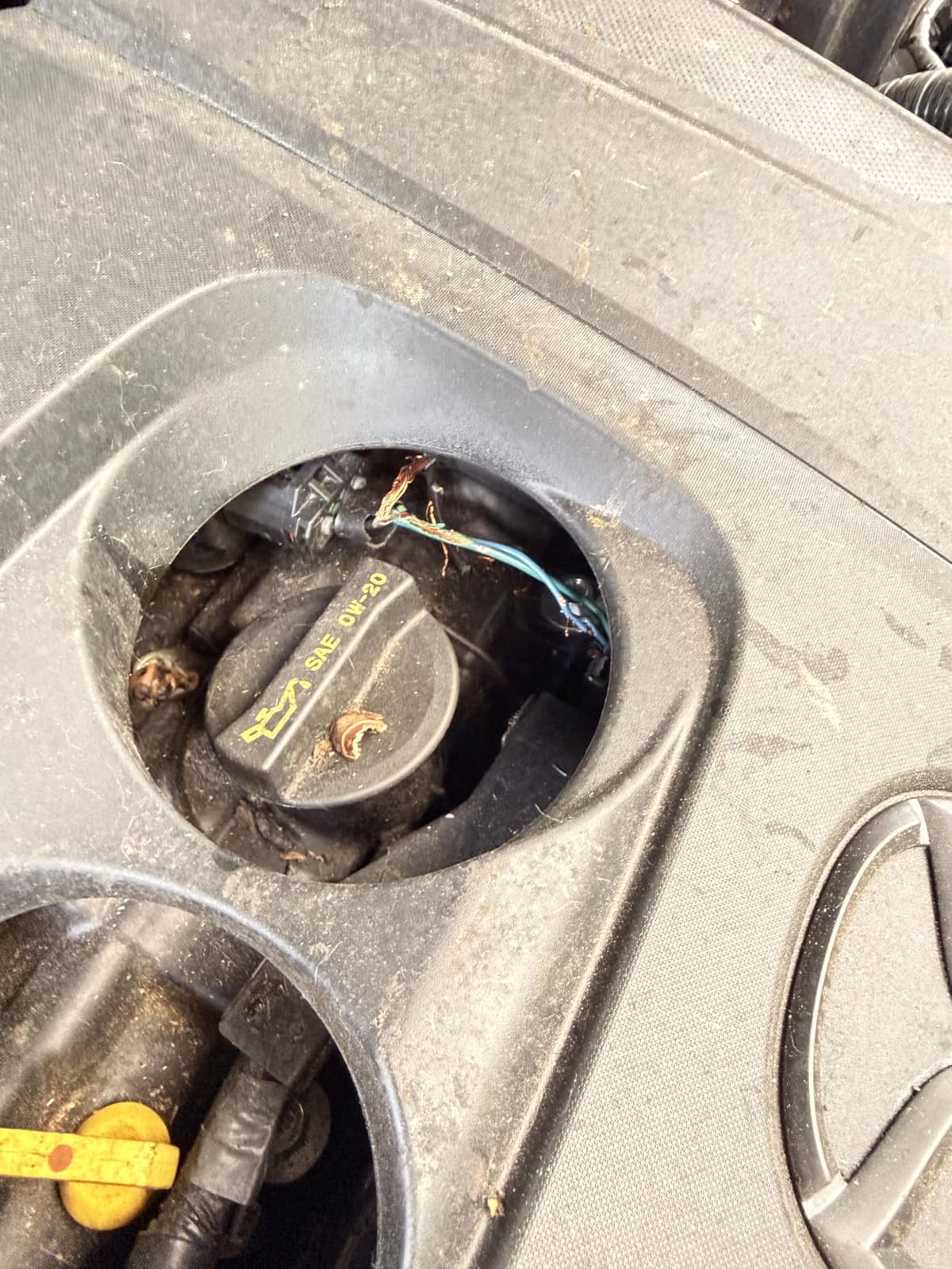 Battery Operated Ultrasonic Under Hood Rodent Repellent for Car Engines customer photo 1