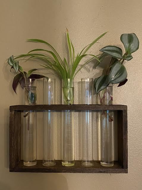 Propagation Station, Plants Terrarium, Plants Lover Gifts for Women,Plant Cutting Holder Home décor,Gifts for Women,House Warming New Home-5 Tubes-Brown customer photo 1