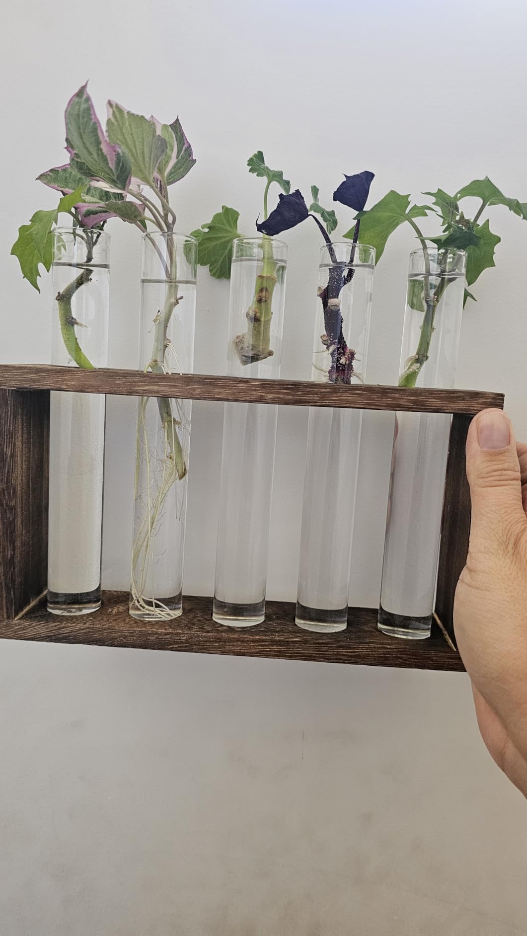 Propagation Station, Plants Terrarium, Plants Lover Gifts for Women,Plant Cutting Holder Home décor,Gifts for Women,House Warming New Home-5 Tubes-Brown customer photo 2