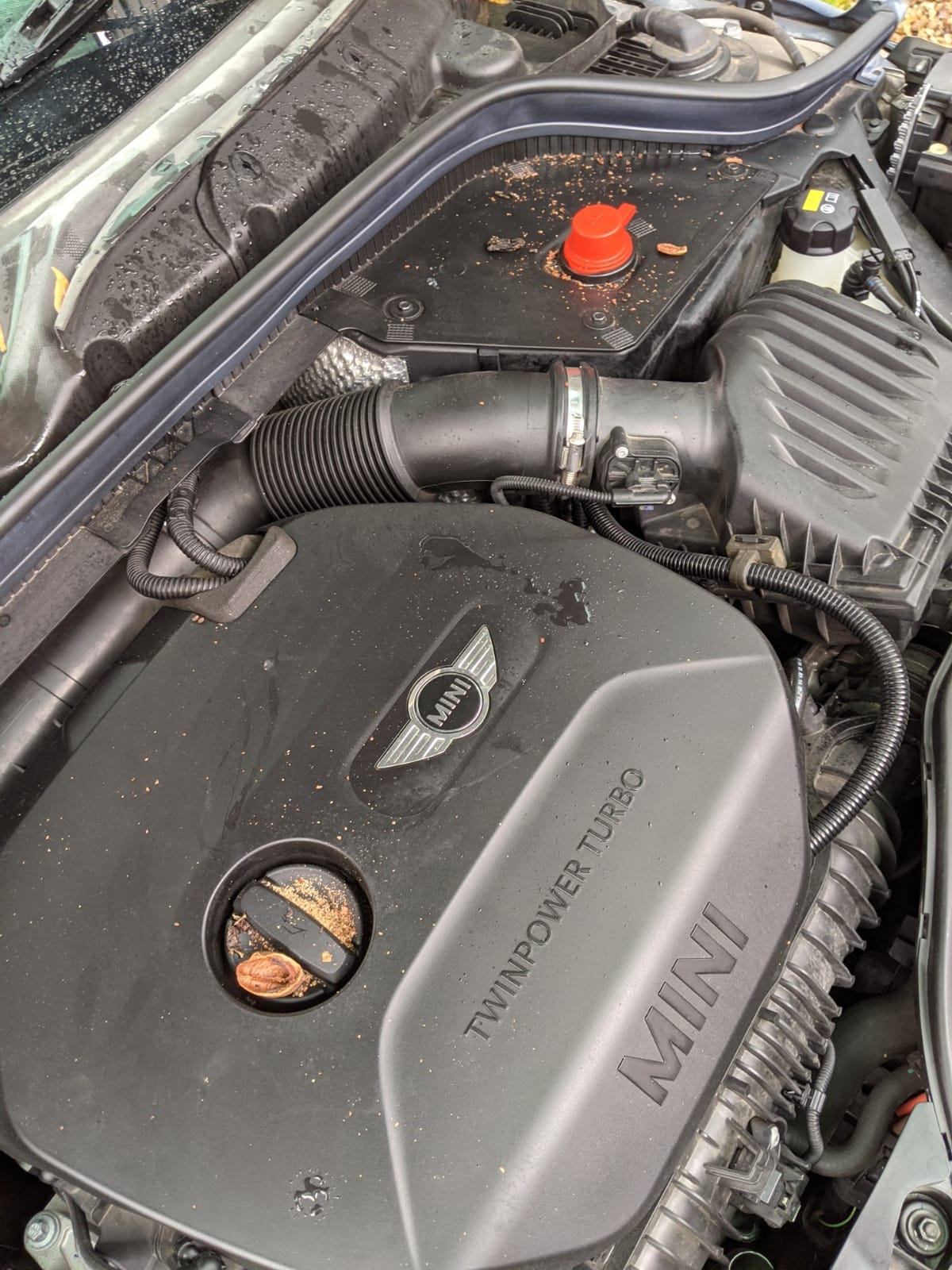 Angveirt Battery Operated Ultrasonic Rodent Repellent for Cars & Garages customer photo 2