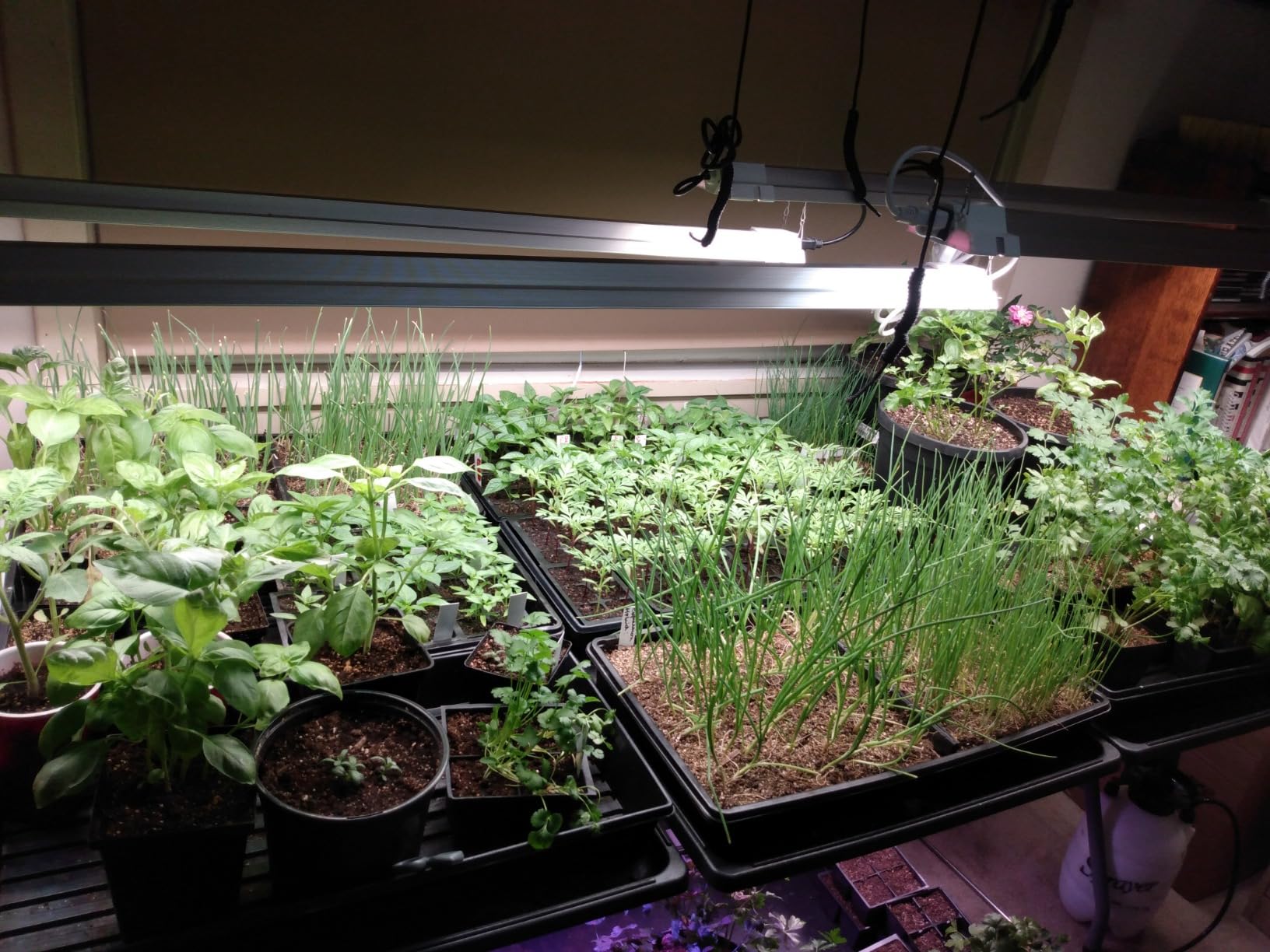 FREELICHT 1Pack 4FT Grow Light for Indoor Plants, 60W=350W, Full Spectrum customer photo 2