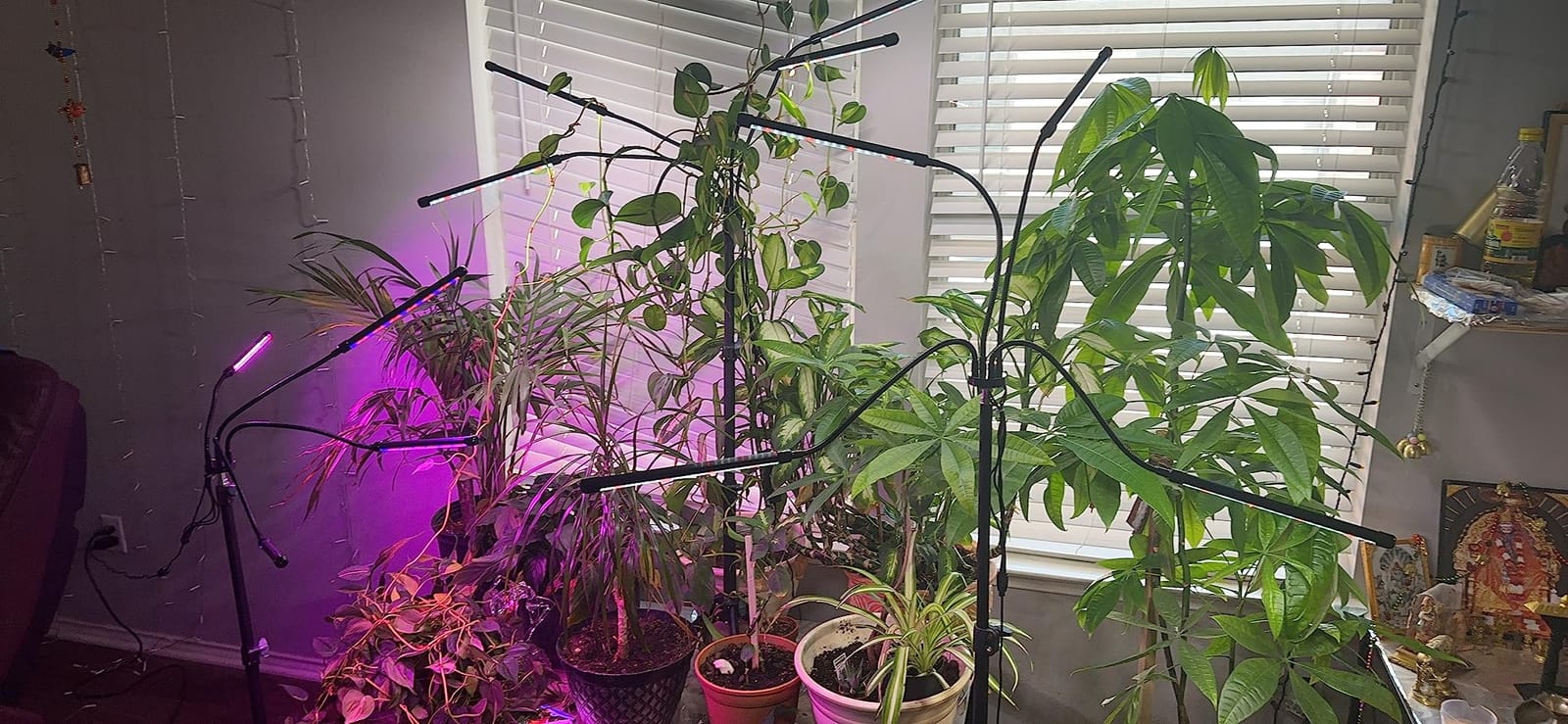 GHodec Grow Light Free Standing, 5500K Full Spectrum Gooseneck LED Lamp customer photo 1