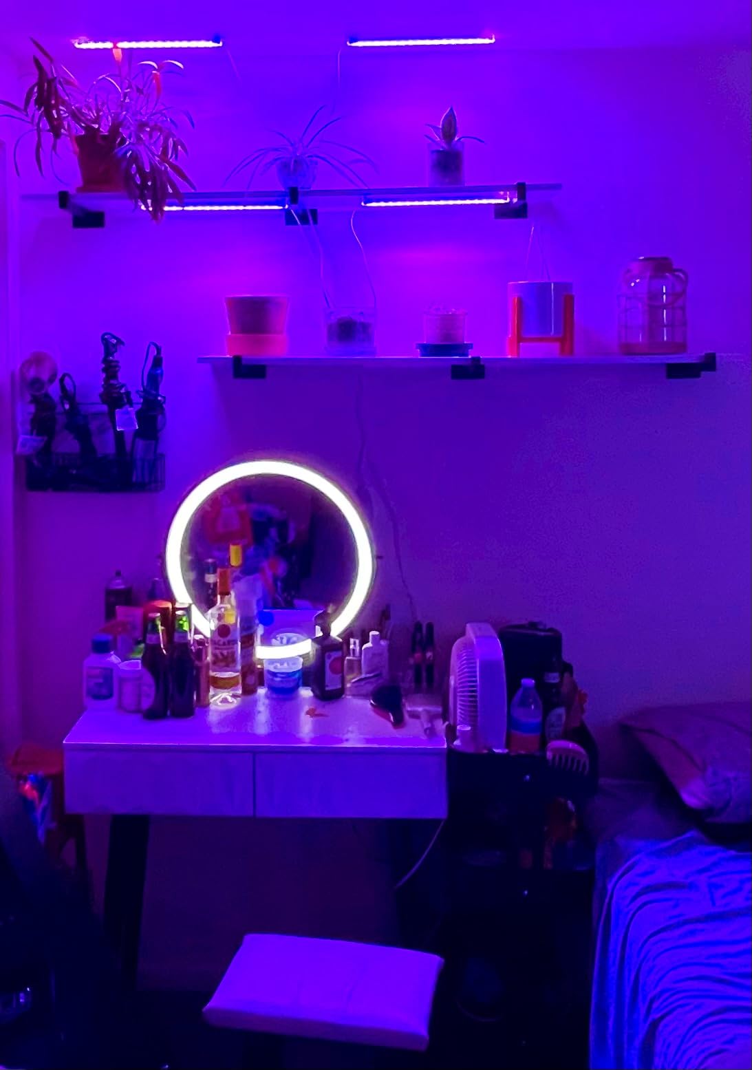 LED Plant Grow Light Strip Full Spectrum for Indoor Plant with Timer customer photo 1
