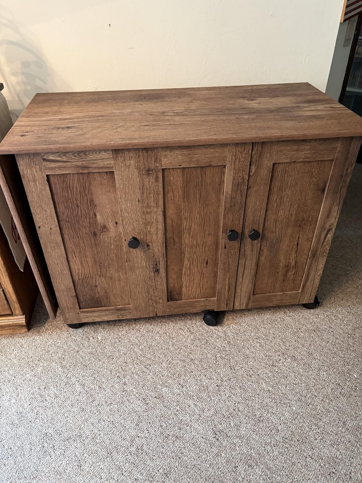 Sauder Miscellaneous Storage Sewing/Craft Cart/ Pantry cabinets, Vintage Oak finish customer photo 2