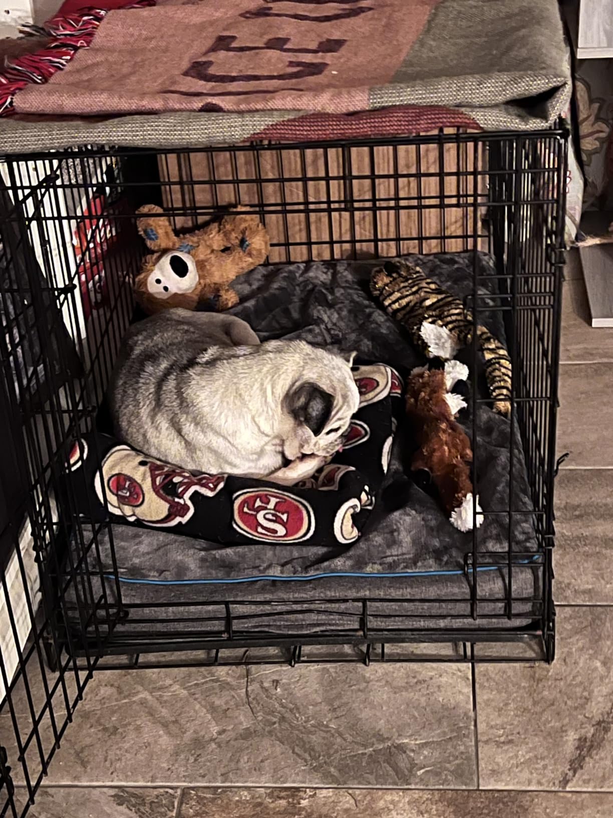 Bedsure Memory Foam Dog Beds Large Sized Dog, Orthopedic Crate Pads, 35x22 customer photo 1
