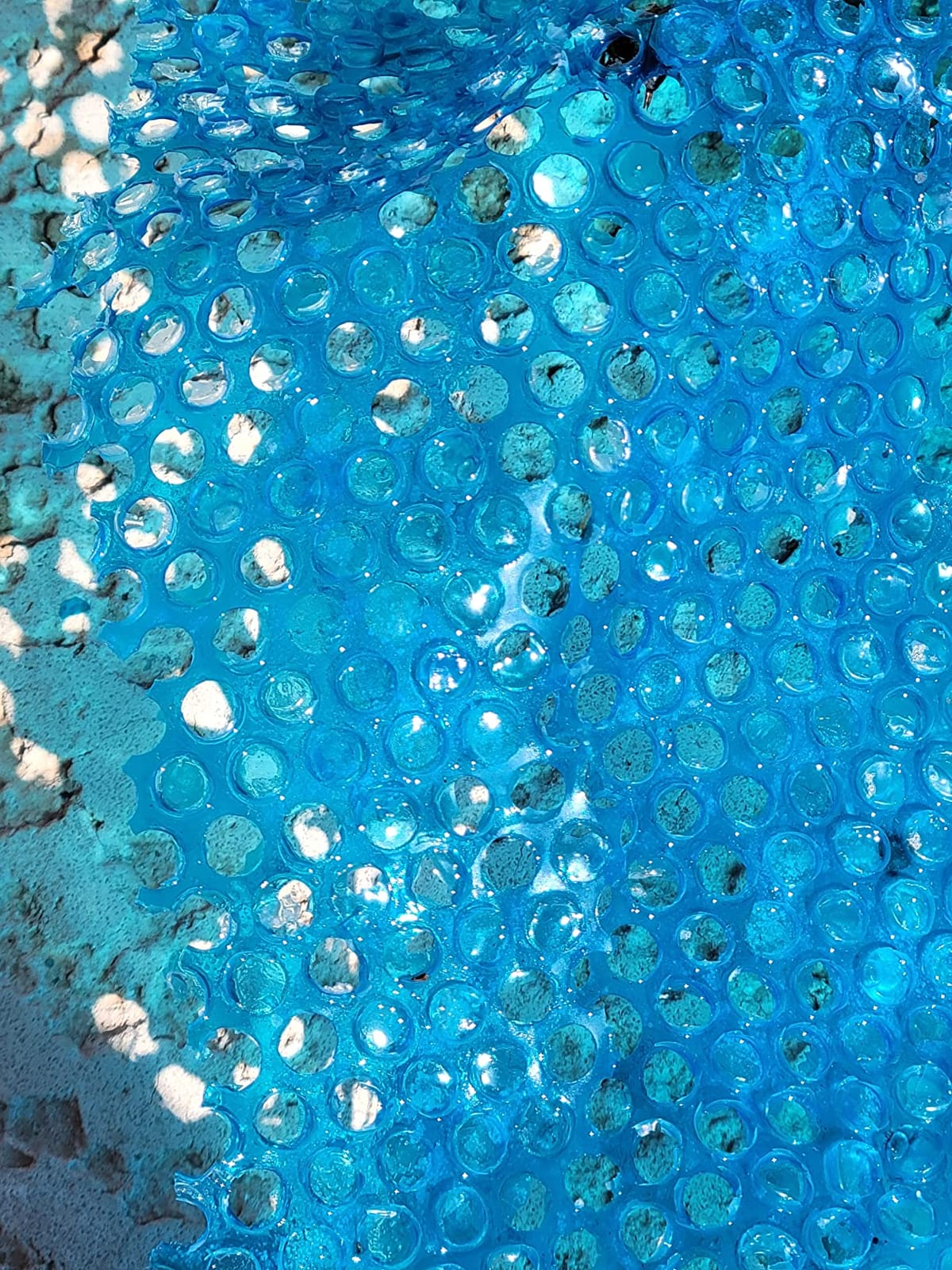 Doheny's Clear-Tek Micro Bubble Solar Pool Cover for Above Ground Swimming Pools | Increase Solar Energy Absorption, Retain Heat, Reduce Evaporation, Reduce Heat Loss & Save, 21 ft Round Blue 1600 customer photo 2