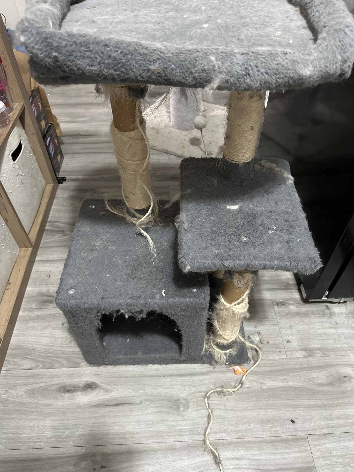 Cute Cat Tree Kitten Cat Tower Condo Cat Furniture Sisal Scratching Posts G customer photo 1