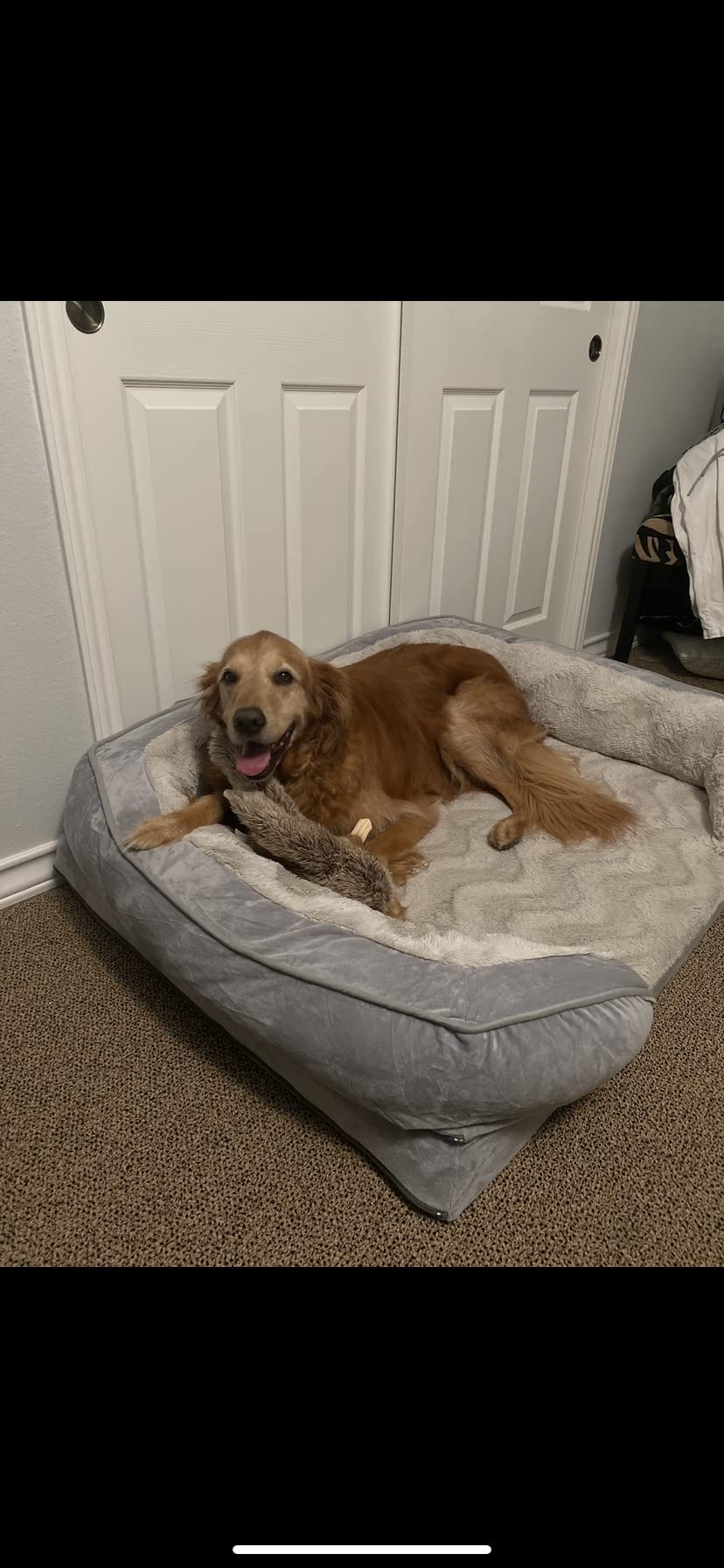 FurHaven Cooling Gel Dog Bed for Large Dogs, Perfect Comfort Sofa Bed with Cool Gel-Top Foam with a Solid Orthopedic Foam Base for Joint Support, Washable Cover, Jumbo XL, Plush & Velvet, Granite Gray customer photo 2