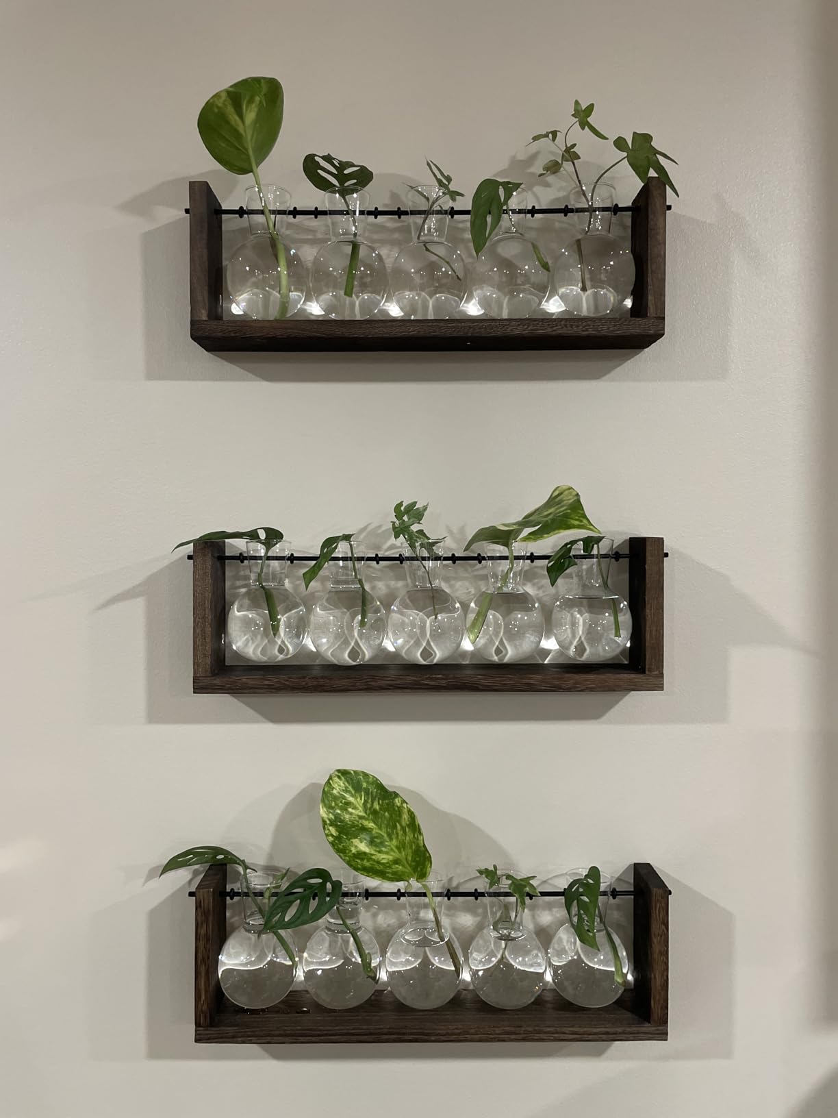 Mkono Plant Propagation Station Hanging Desktop Wooden Stand 3 Vases Holder customer photo 1