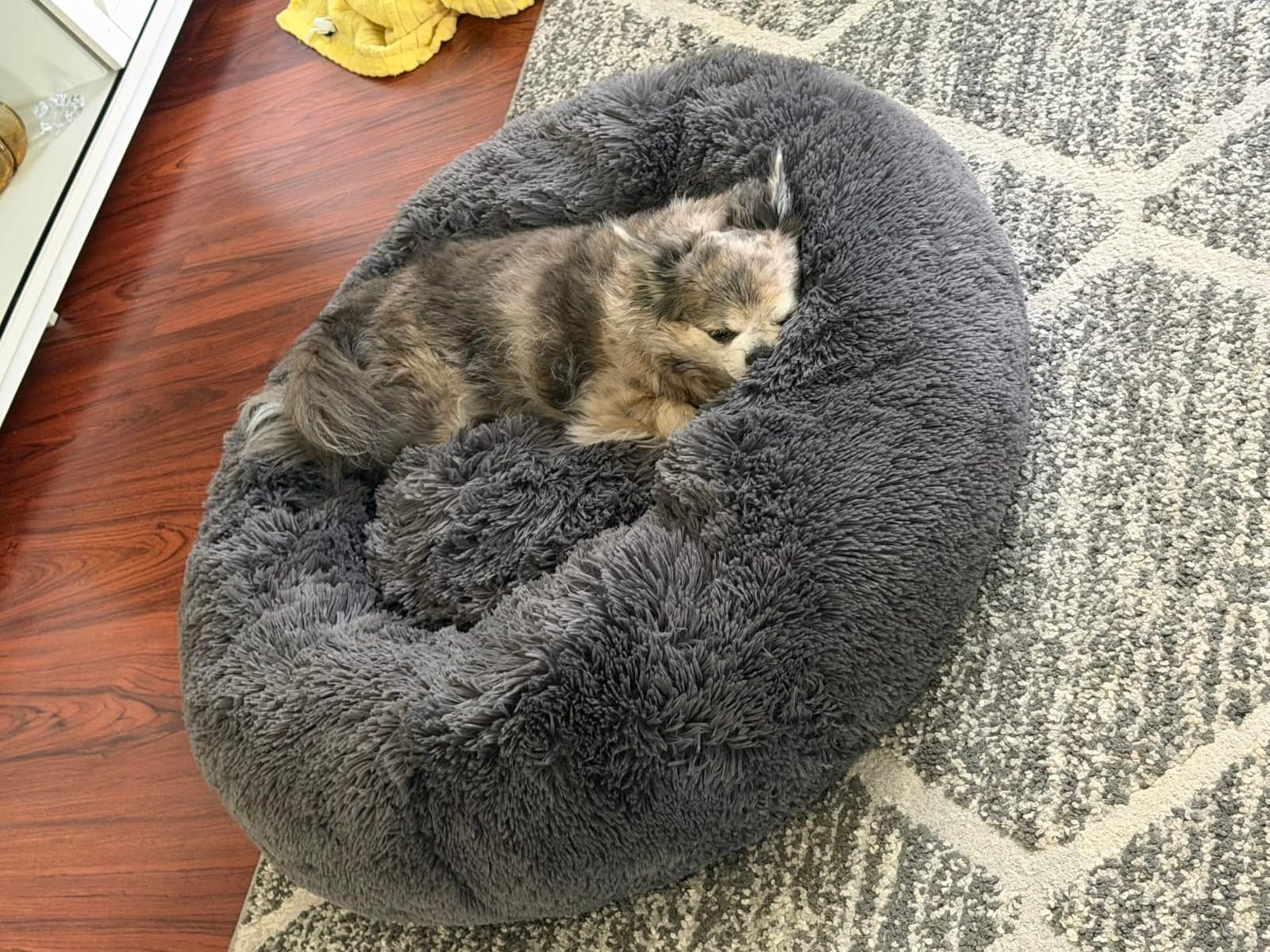 Bedsure Calming Dog Bed Medium Size Dog Donut Washable Pet Bed,30ins Camel customer photo 2