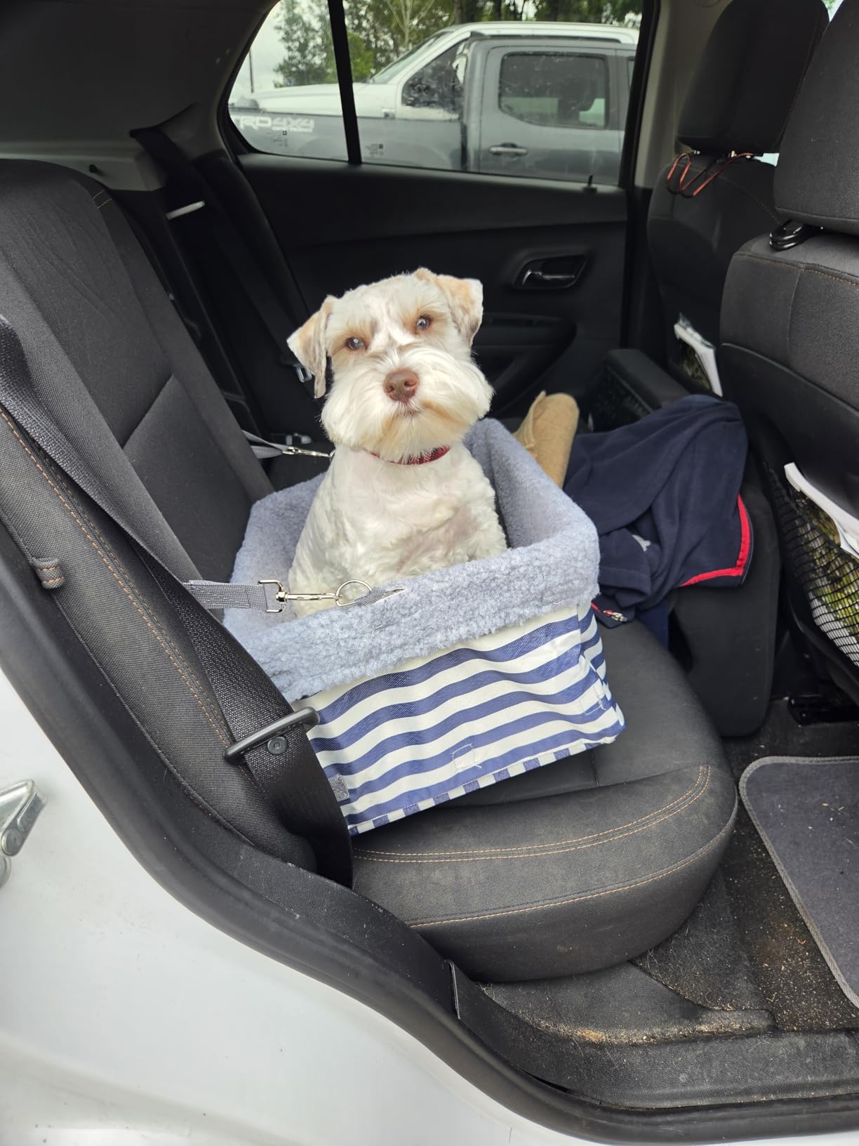 Dog Car Seats for Small Dogs, Upgrade Dog Booster Seat with Metal Frame Construction with Double-Layer Oxford, Perfect for Small Pets up to 20lbs customer photo 2