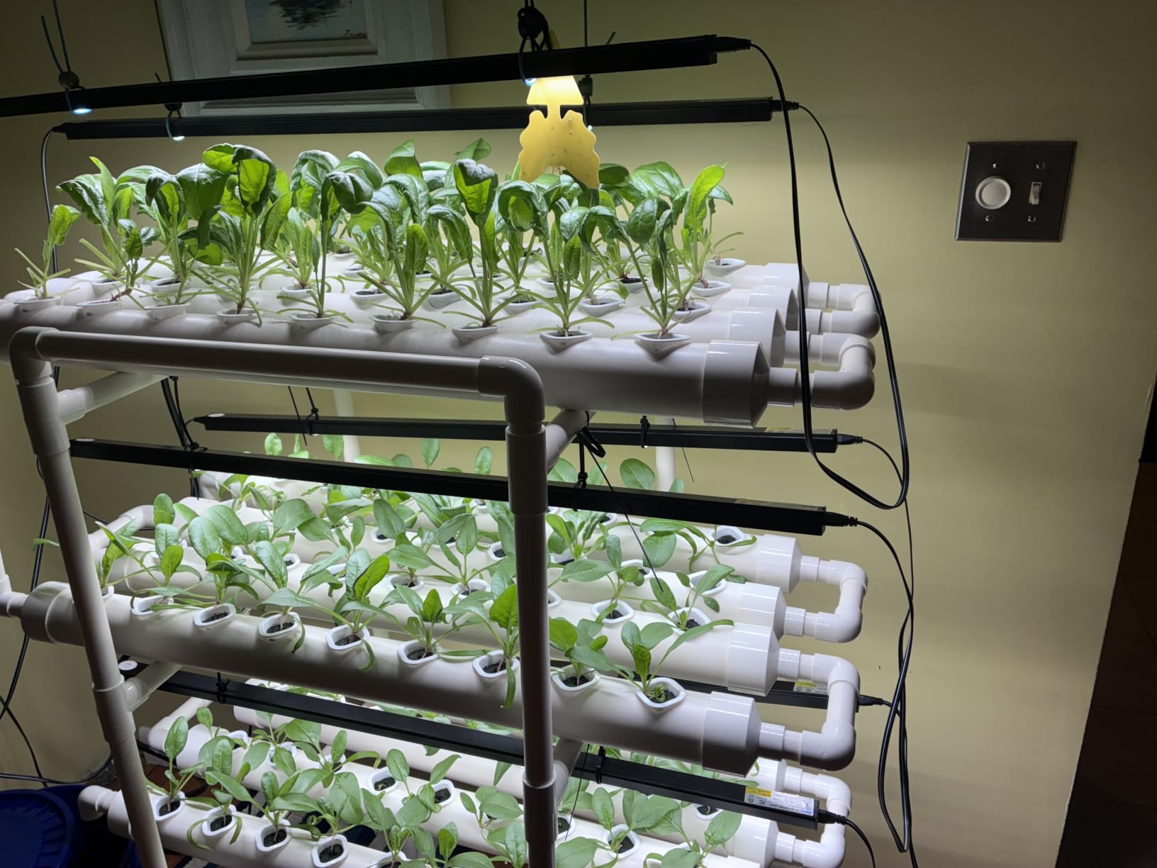 VIVOSUN Hydroponic Grow Kit, 1 Layer 36 Plant Sites 4 Food-Grade PVC-U Pipes Hydroponics Planting System with Water Pump, Pump Timer, Nest Basket and Sponge for Leafy Vegetables customer photo 2