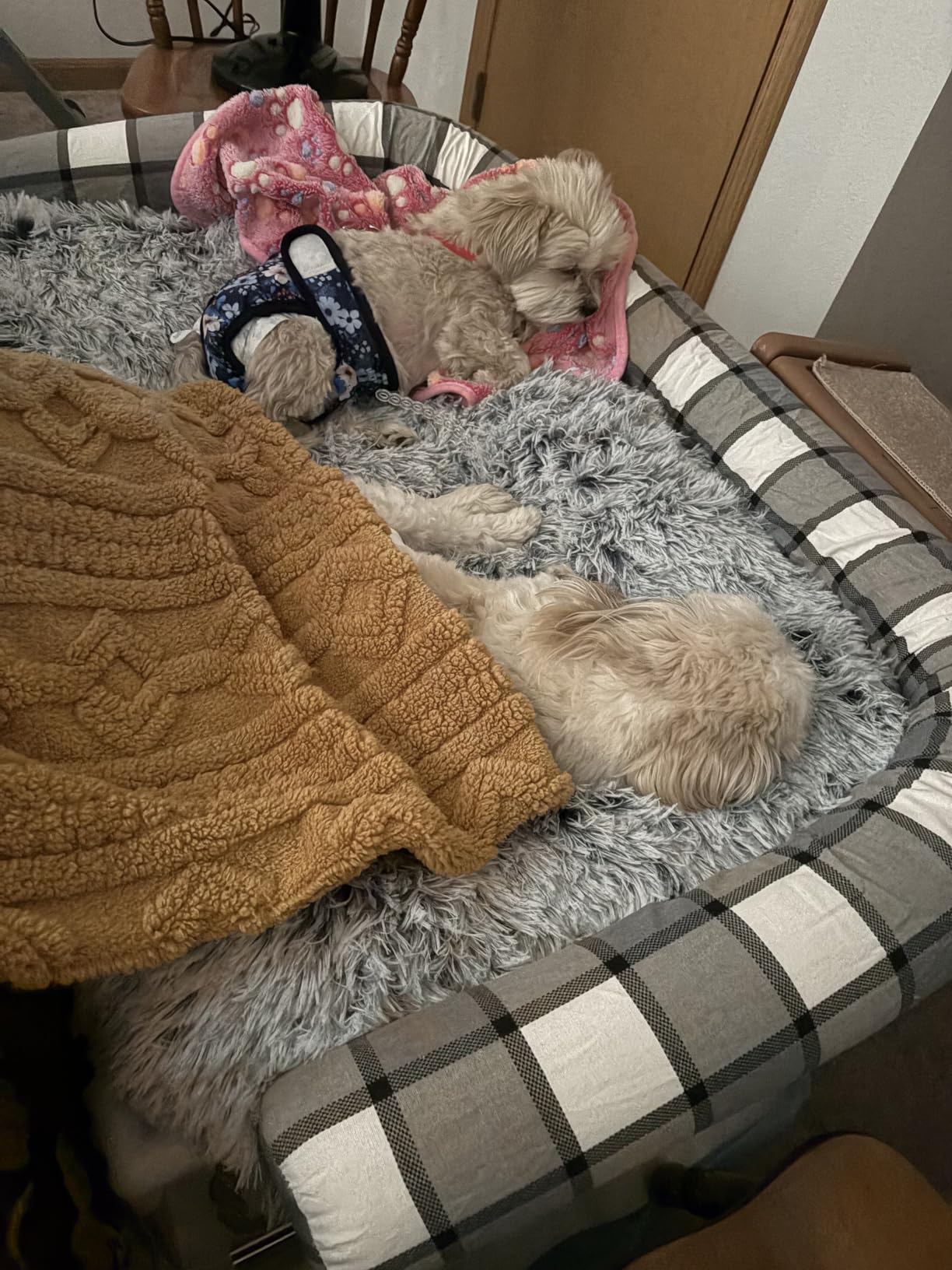 Large Dog Bed Crate Pad 35