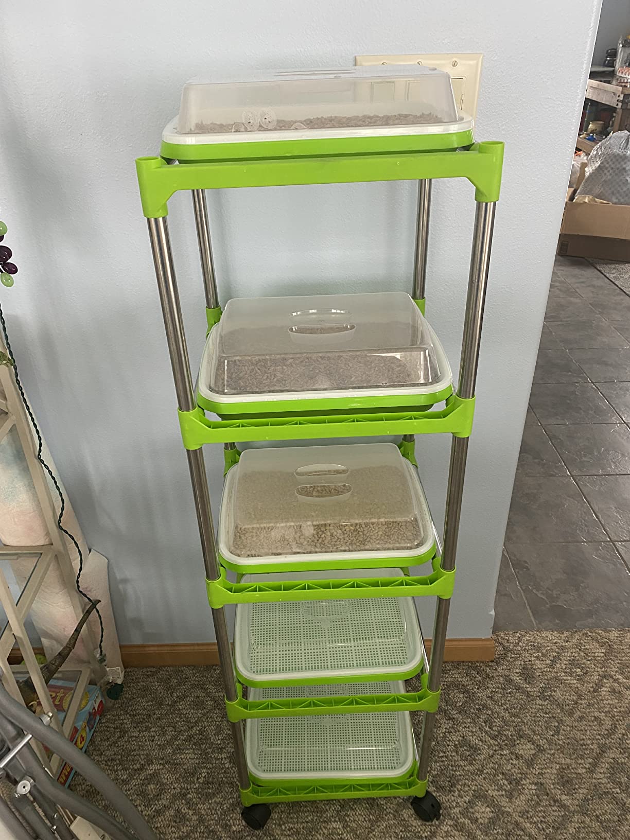 5 Layers Seed Sprouter Trays with Lids and Stainless Steel Shelf customer photo 1