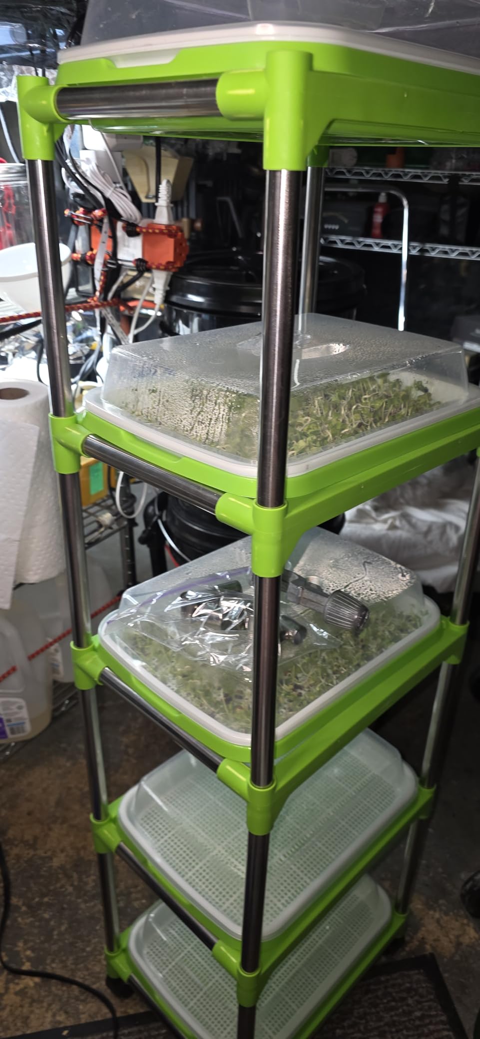 5 Layers Seed Sprouter Trays with Lids and Stainless Steel Shelf customer photo 2