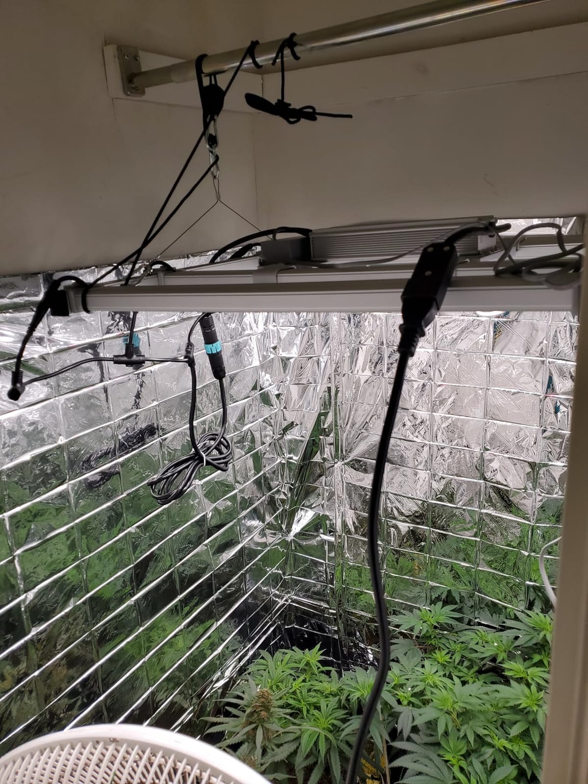 Mars Hydro FC-E4800 480W 4x4 LED Grow Light Full Spectrum Veg Bloom Flower customer photo 2