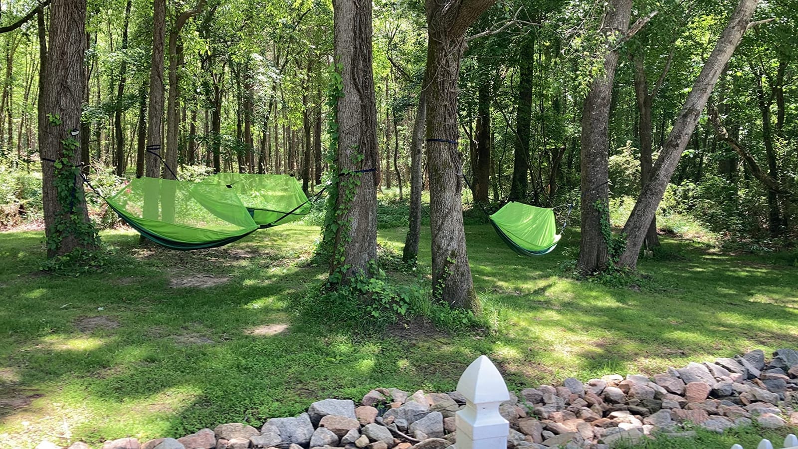 Camping Hammock with Net,Portable Lightweight Double Hammocks with Tree Straps and Solid D-Shape Hanging Hooks,Parachute Nylon Hammock for Backpacking Beach Backyard Patio Hiking customer photo 2