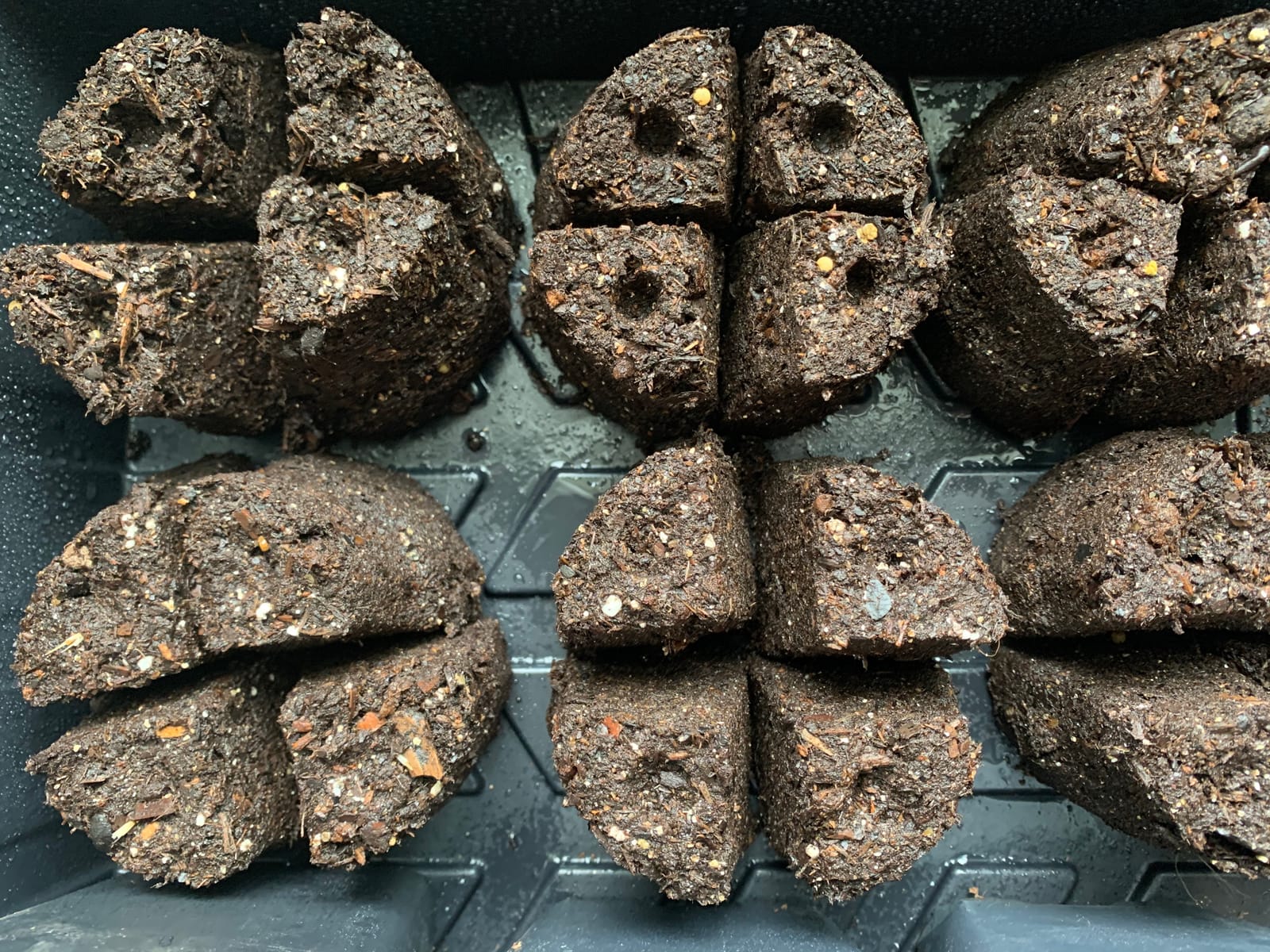 Fiskars Garden Soil Block Maker for Plant Seeds with Natural Air Pruning customer photo 2