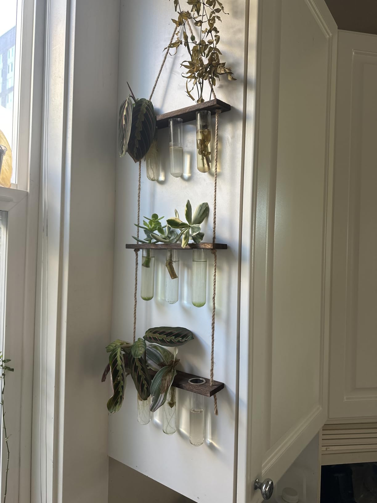 Mkono Plant Propagation Station, 3 Tier Brown Wall Hanging Vase Test Tubes customer photo 1