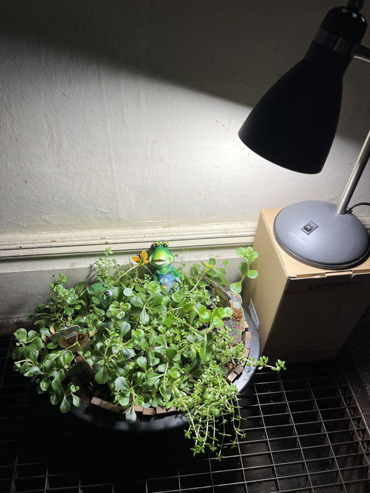 Briignite Grow Light Bulbs, LED Grow Light Bulb A19 Bulb, Full Spectrum customer photo 2