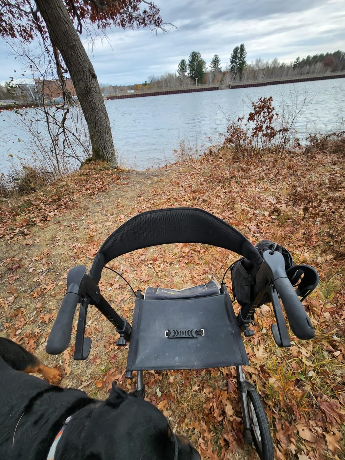 Comodità Tipo All Terrain Rolling Walker, Outdoor Wheeled Rollator with Extra Wide Seat and Brakes for Adults and Seniors, Easy Folding, 4 Wheel, Modena Red customer photo 1