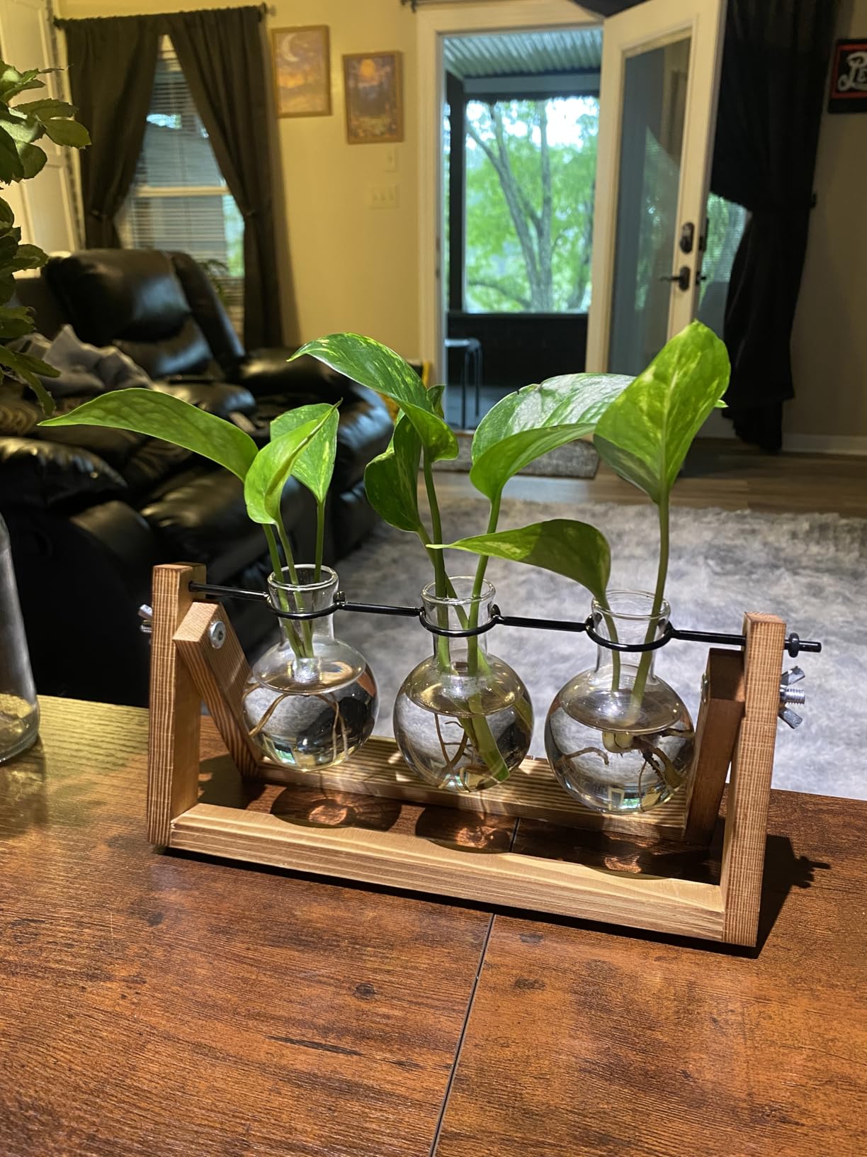 Renmxj Plant Propagation Station, Plant Terrarium with Wooden Stand customer photo 1