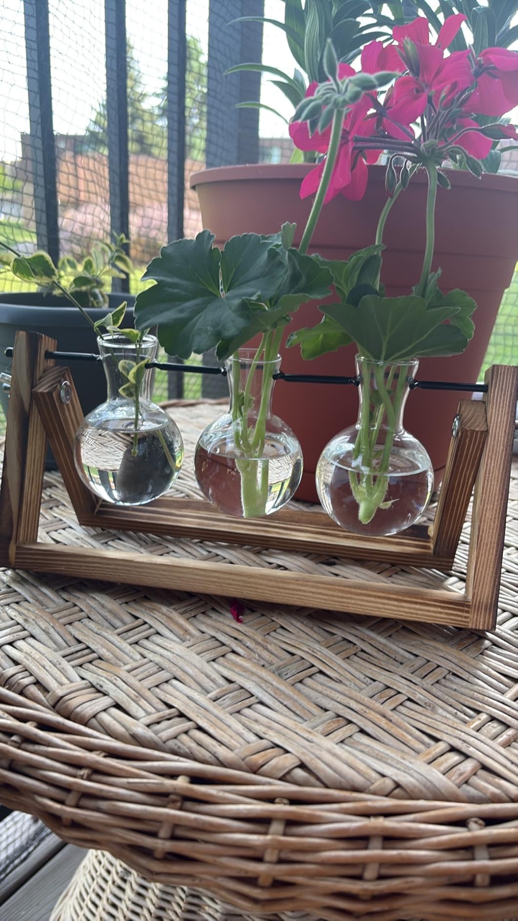 Renmxj Plant Propagation Station, Plant Terrarium with Wooden Stand customer photo 2