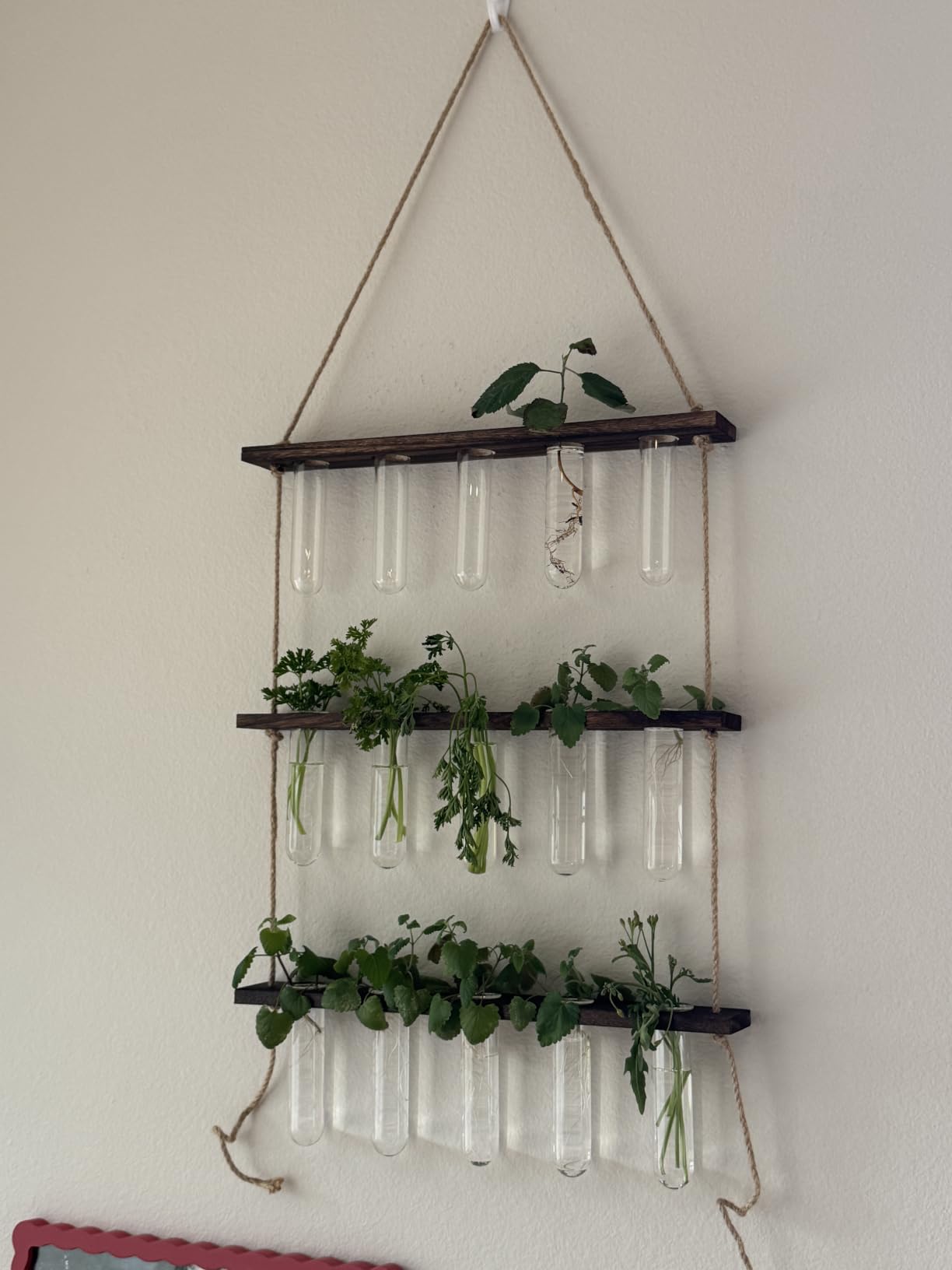 XXXFLOWER Wall Hanging Propagation Station with Wooden Stand Glass Test Tubes Tiered Planters Wall Terrarium for Home Office Plant Hanger Flower Vases Wall Decor Hydroponic Cuttings (9 Tube Vases) customer photo 1