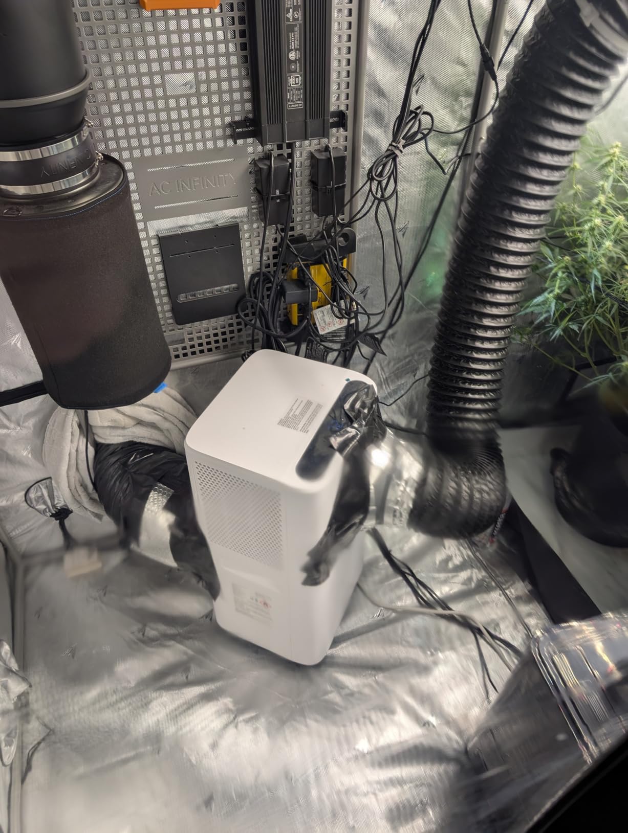 AC Infinity CLOUDLAB 899, Advance Grow Tent 8x8, Thickest Poles & Mylar customer photo 2