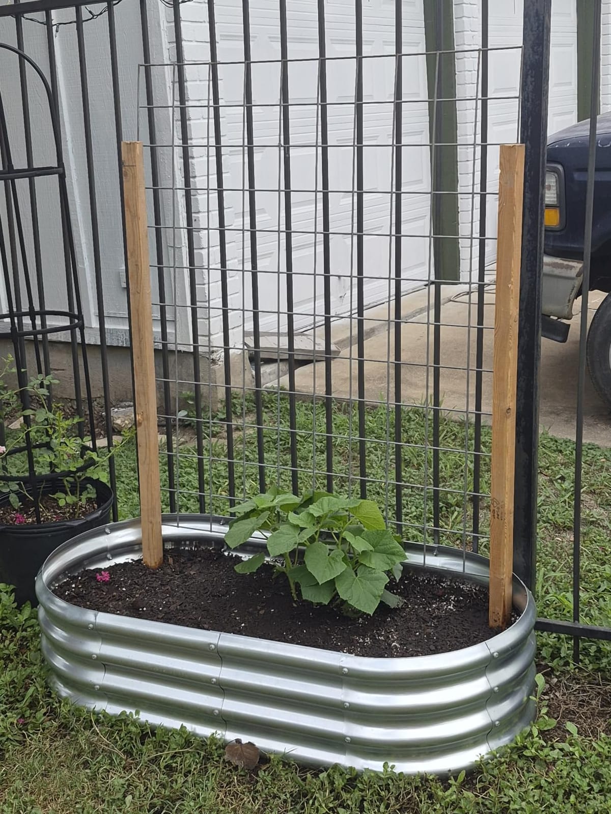 Land Guard Galvanized Raised Garden Bed Kit, Galvanized Planter Garden Boxes Outdoor, Oval Large Metal Raised Garden Beds for Vegetables………… customer photo 2