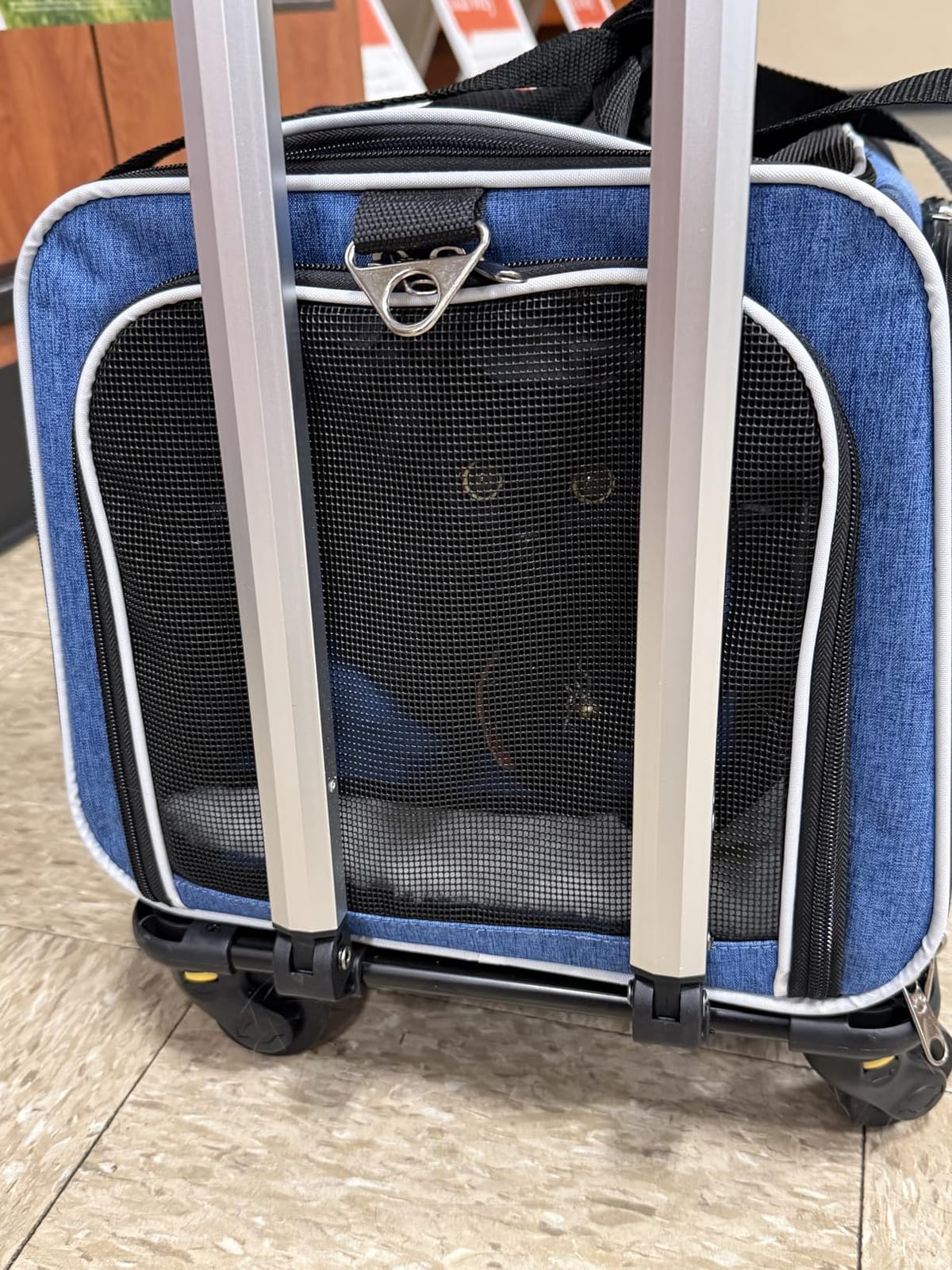Ruff Life 101 Airline Approved Expandable Premium Pet Carrier on Wheels- Two Sided Expandable Rolling Carrier- Designed for Dogs & Cats- Extra Spacious Soft Lined Carrier! (Grey) customer photo 1