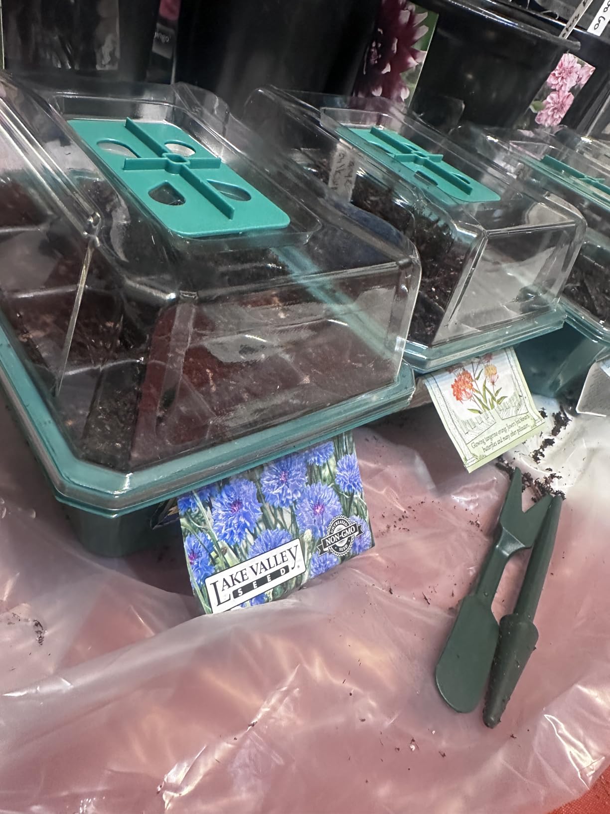 VIVOSUN 6-Pack Seed Starter Trays, 72-Cell Starter Kit with Humidity Dome customer photo 1
