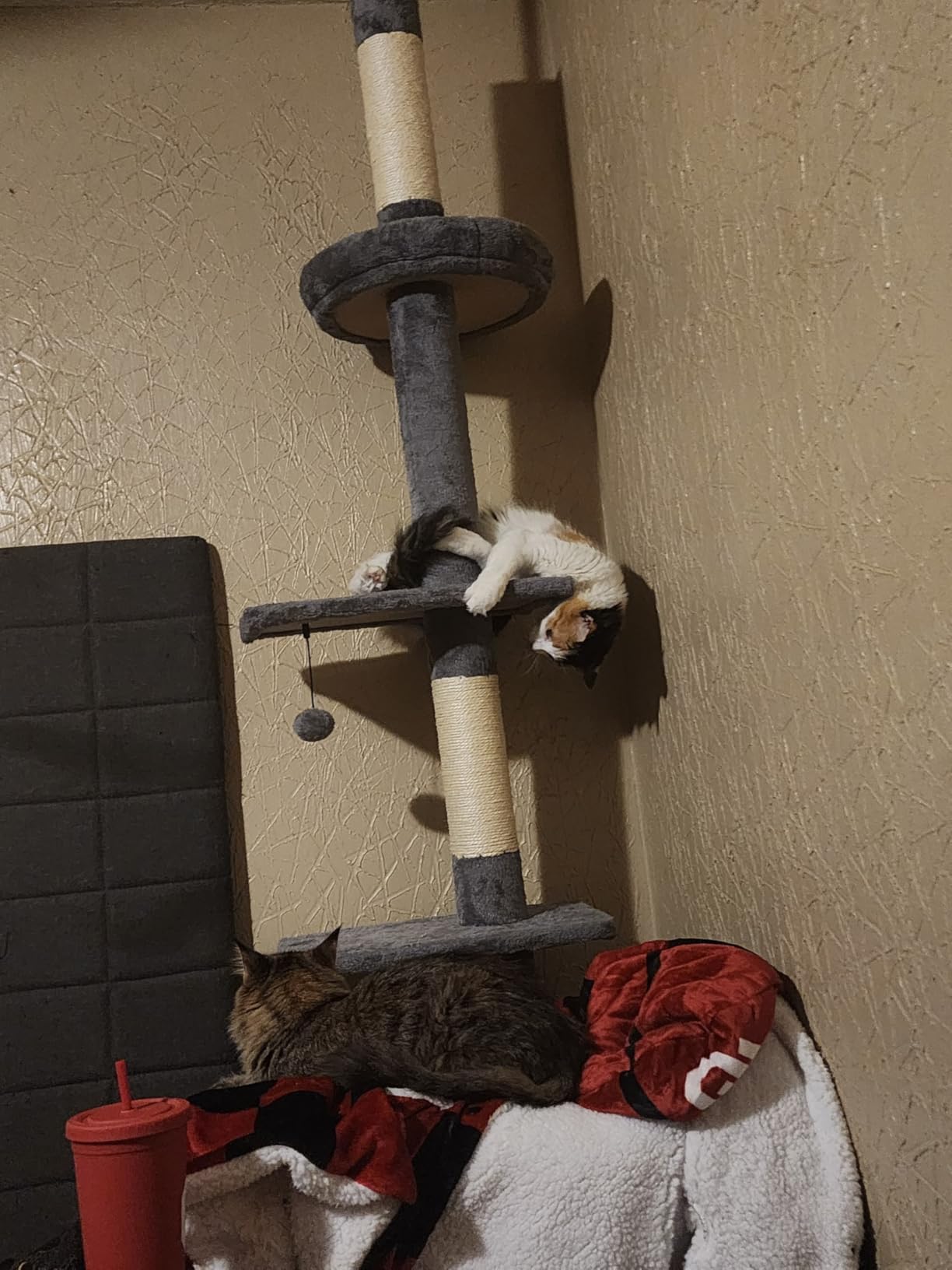 PETEPELA 5-Tier Floor to Ceiling Cat Tree, 95-107In Tall Cat Tower Grey customer photo 2