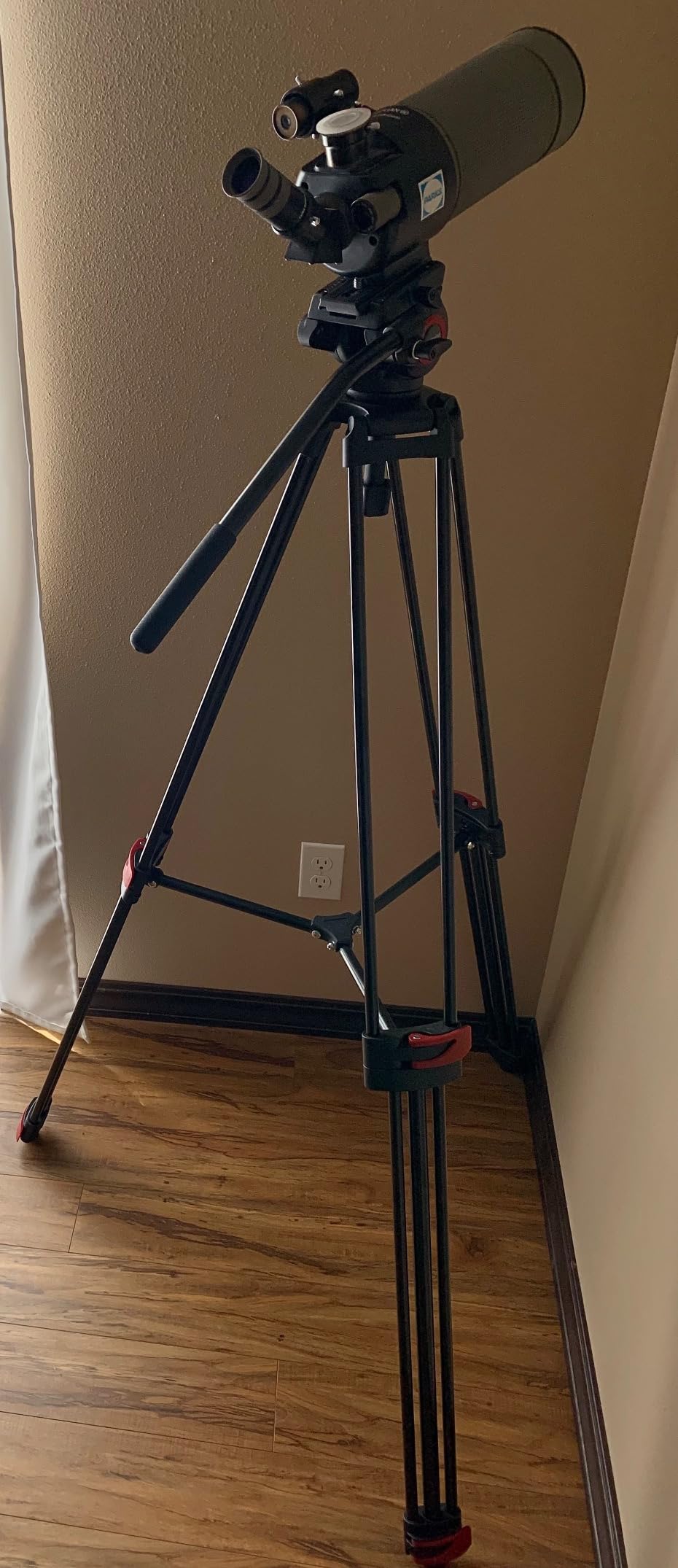 Mactrem 82
