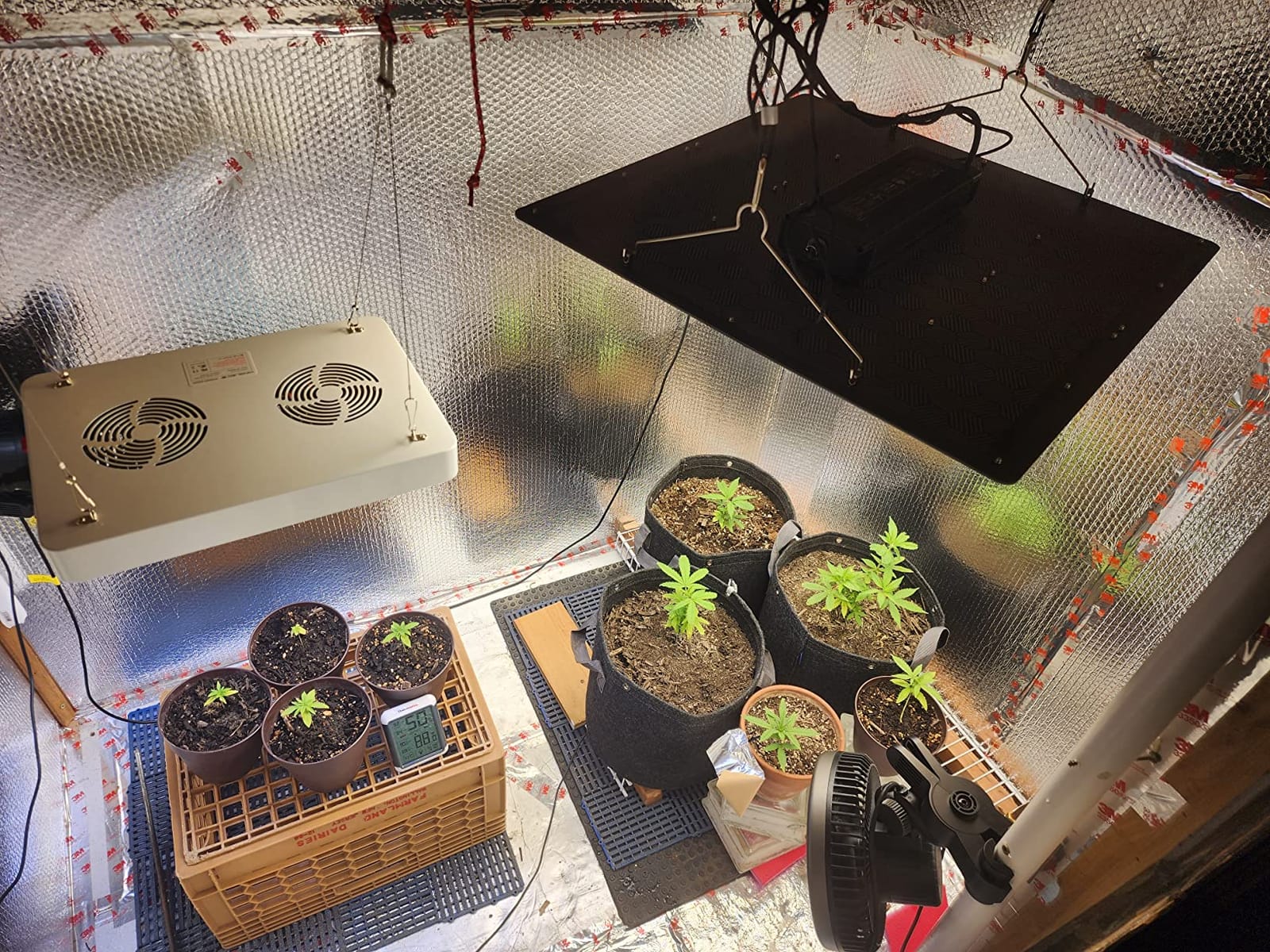 AC Infinity IONBOARD S24, LED Grow Light Board 2x4 with Dimming Control customer photo 2