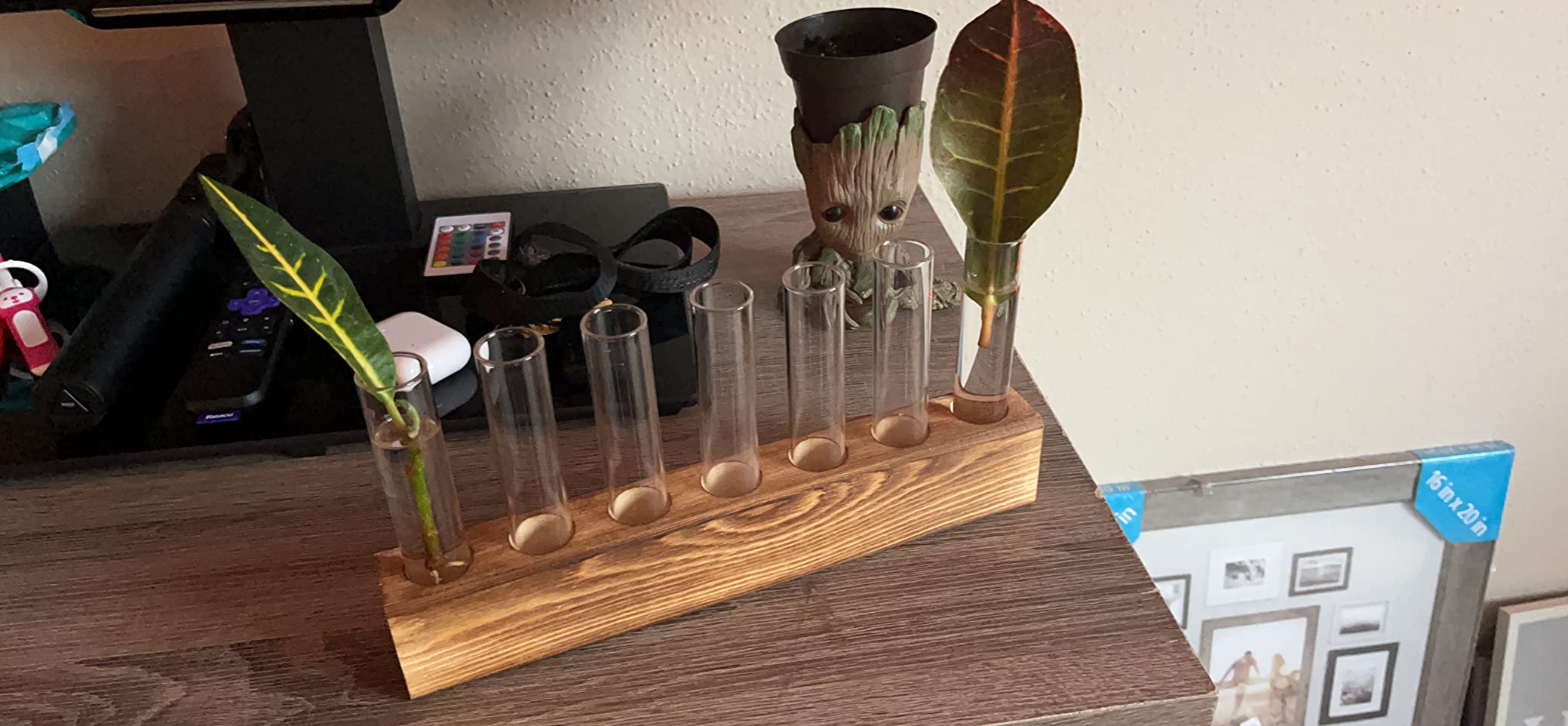 Plant Propagation Station, Plants Propagation Tubes customer photo 2