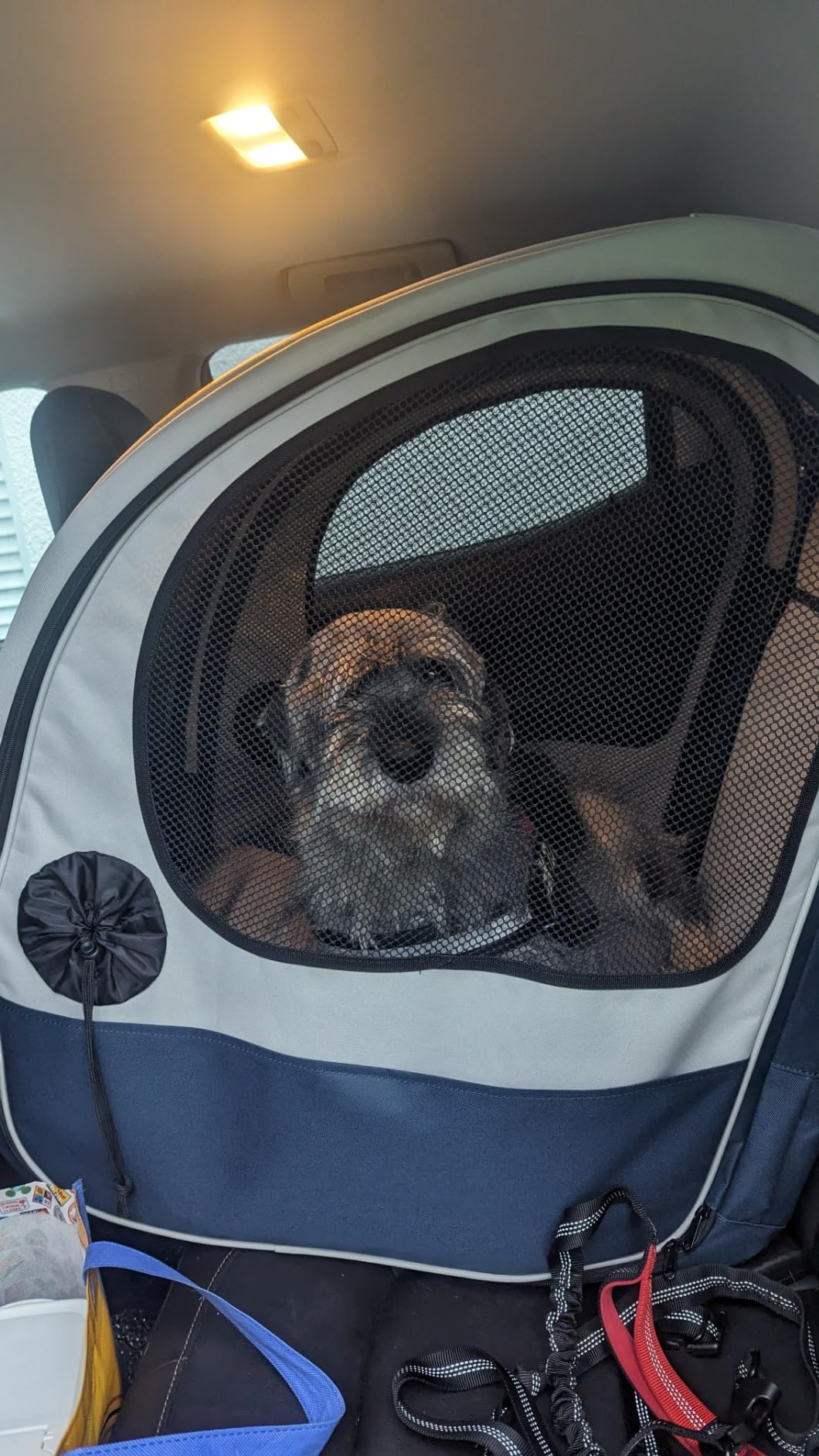PetSafe Happy Ride Collapsible Travel Dog Crate customer photo 2